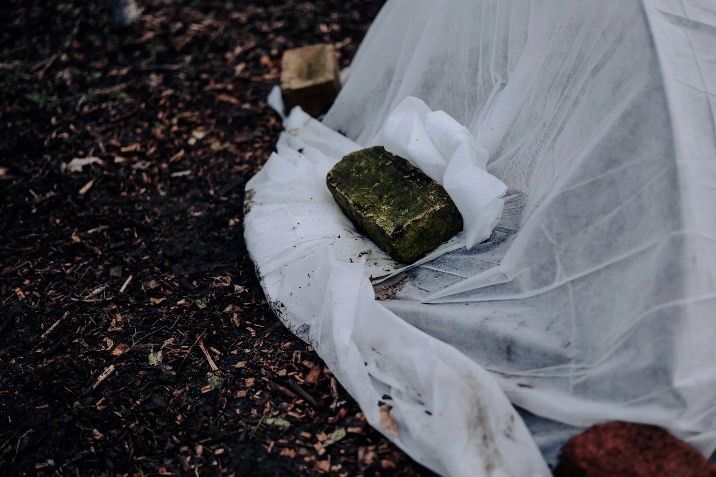 A Year at the Allotment December 2025-150.jpg