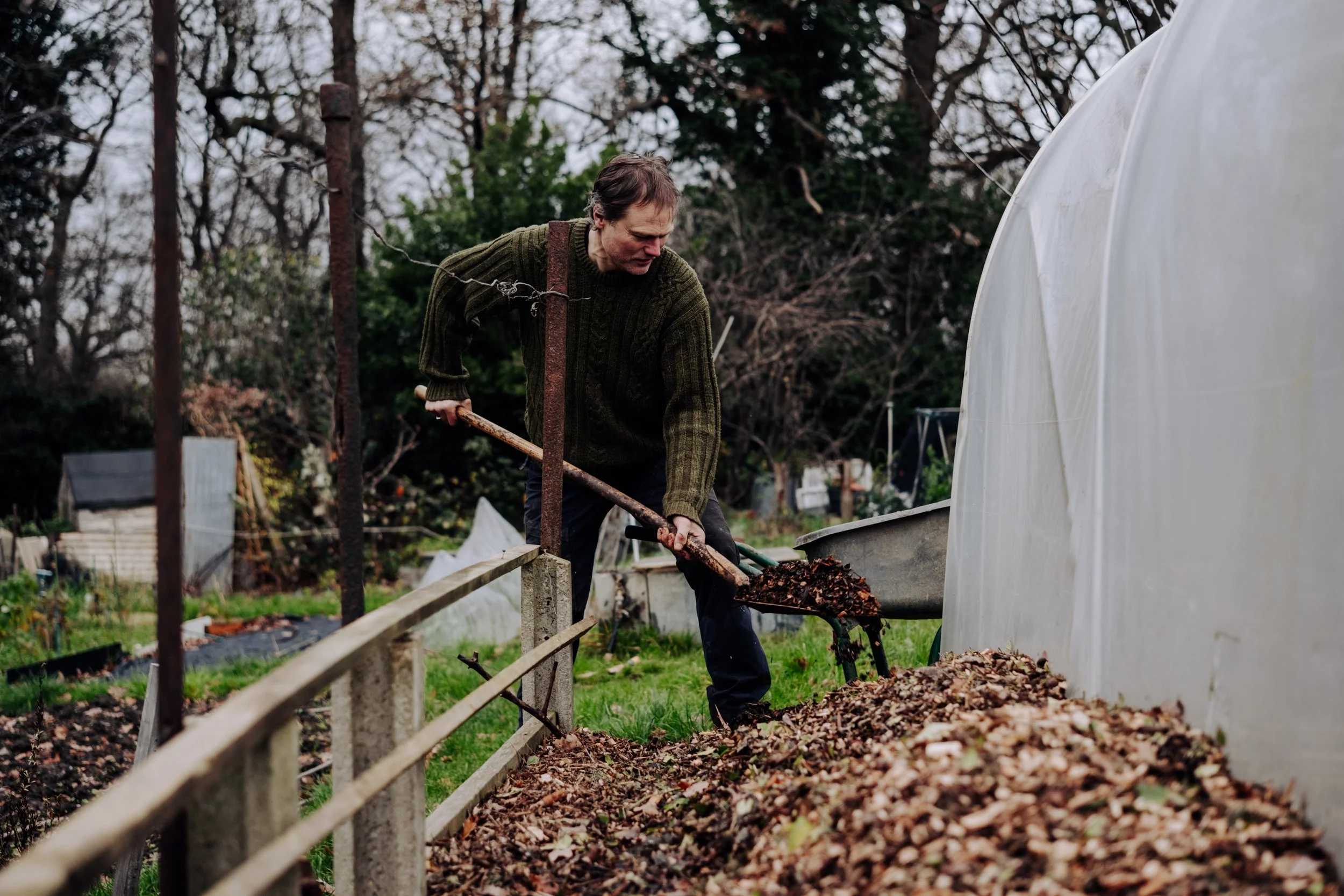 A Year at the Allotment December 2025-170.jpg
