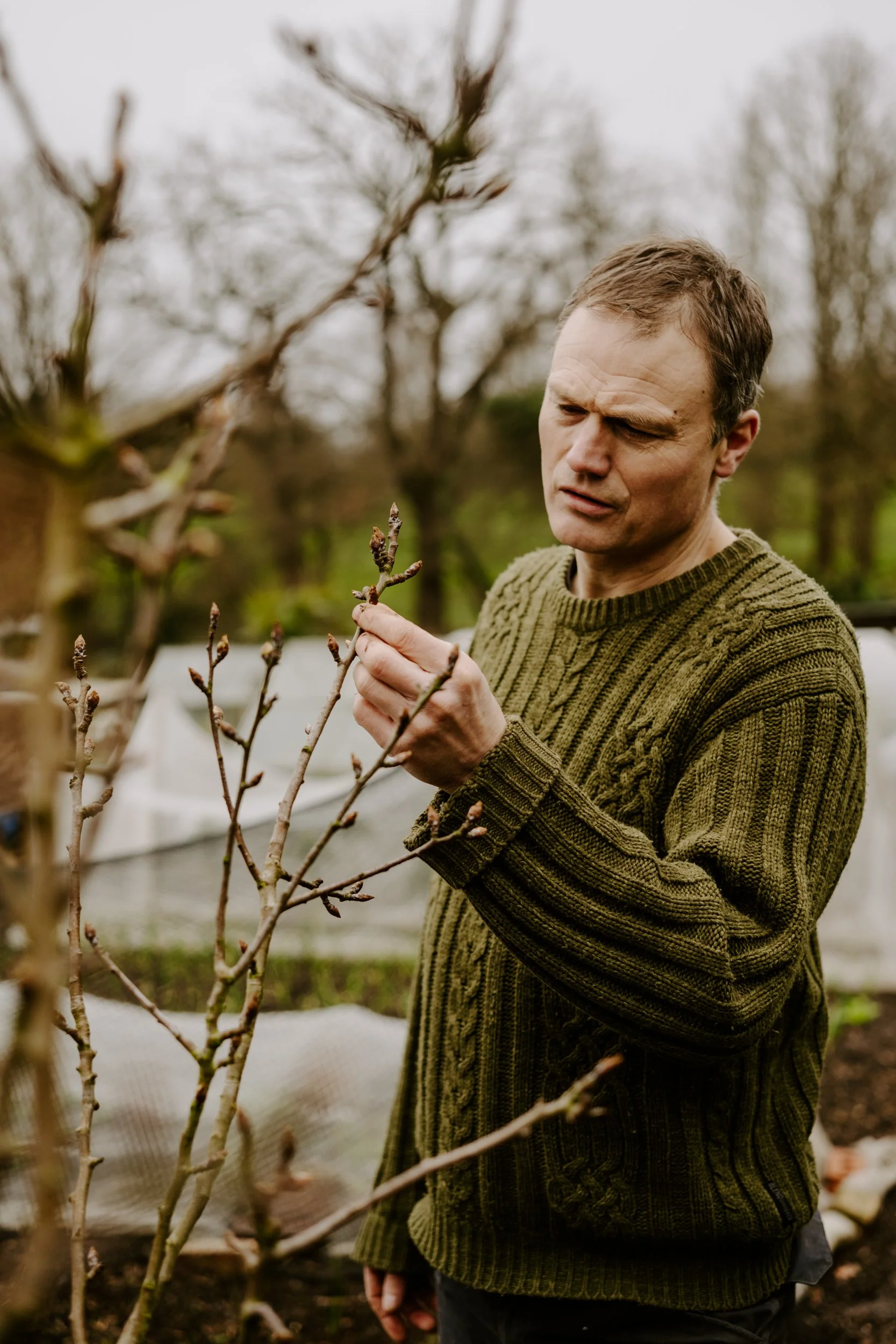 A Year at the allotment_February 2026-144.jpg