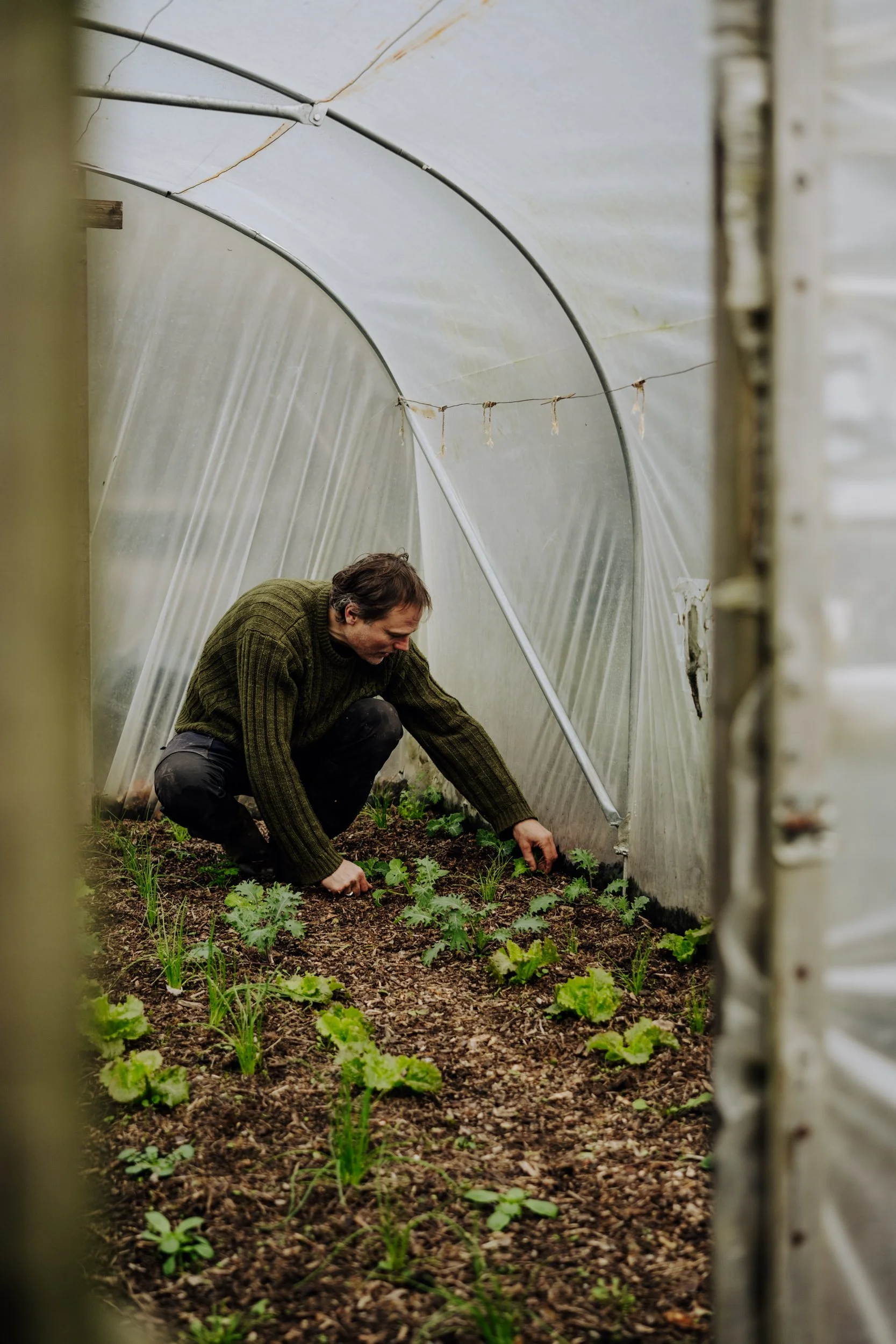 A Year at the Allotment December 2025-164.jpg