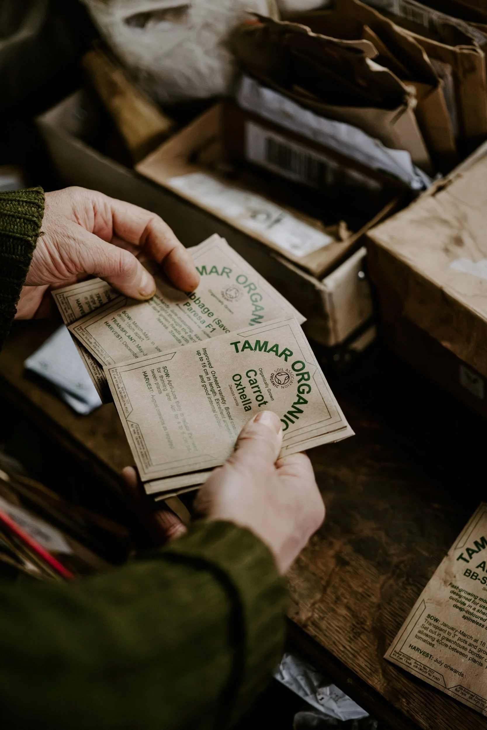 A Year on the Allotment_January 2026-102.jpg
