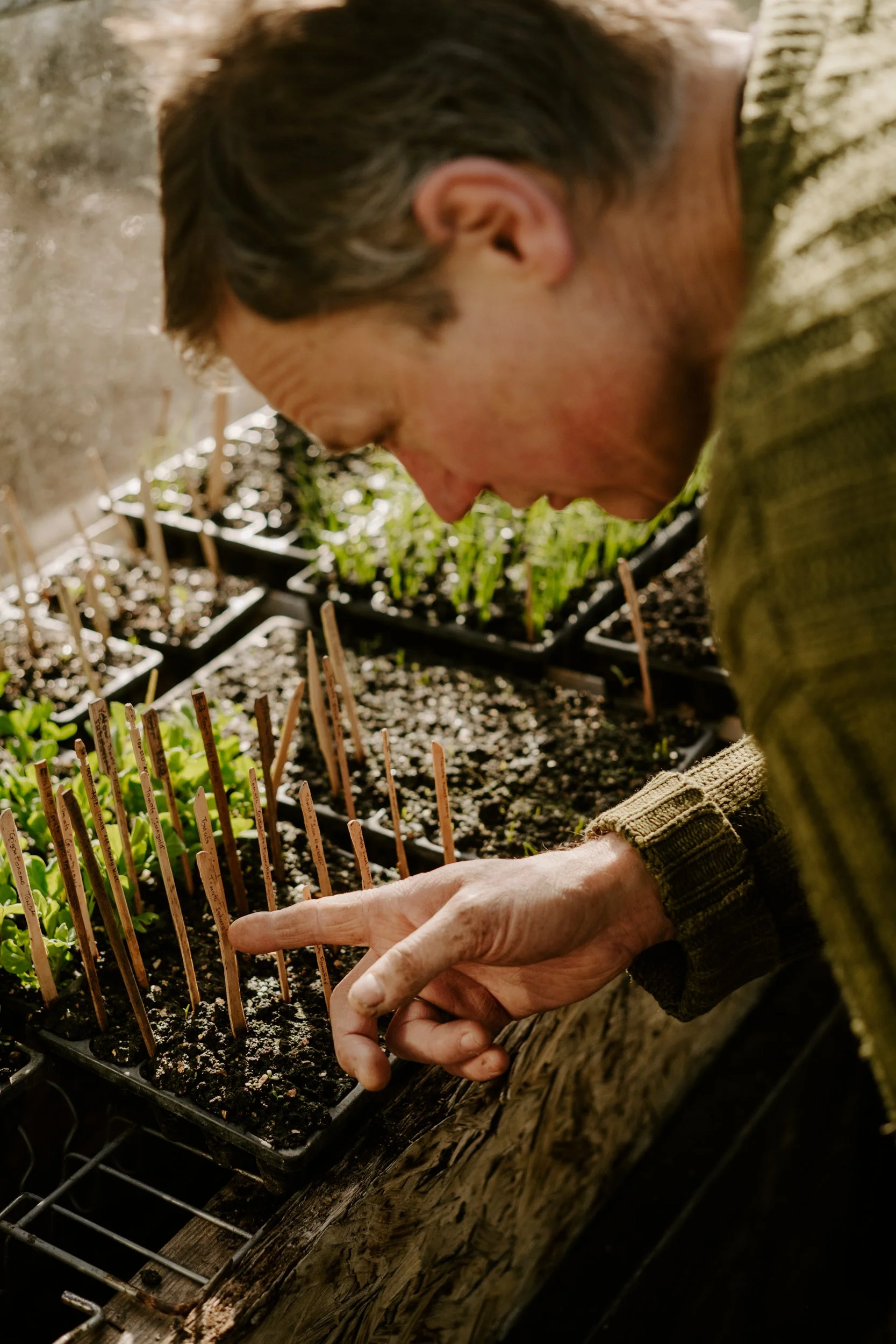 A Year at the Allotment_March-134.jpg