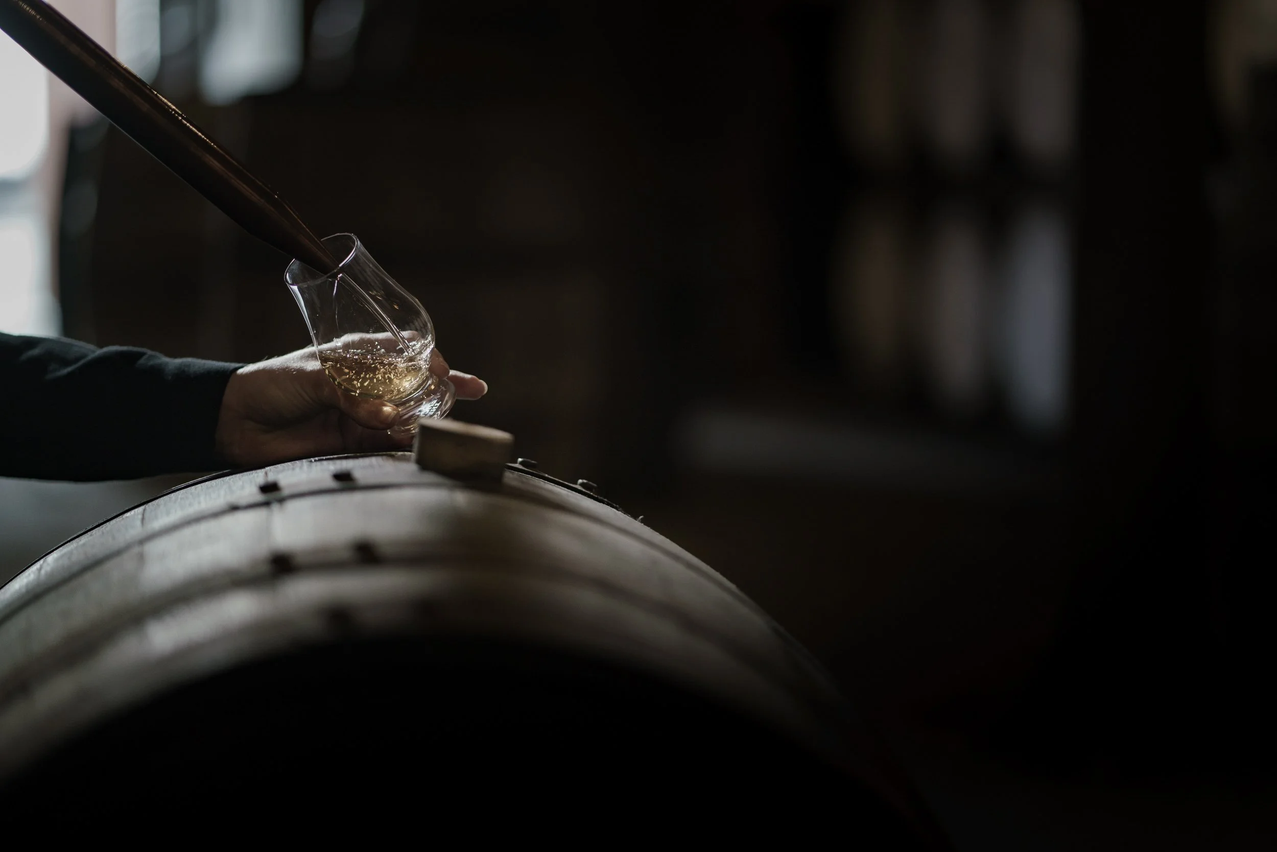 Thomas Skovsende Website-North Coast Character-104.jpg