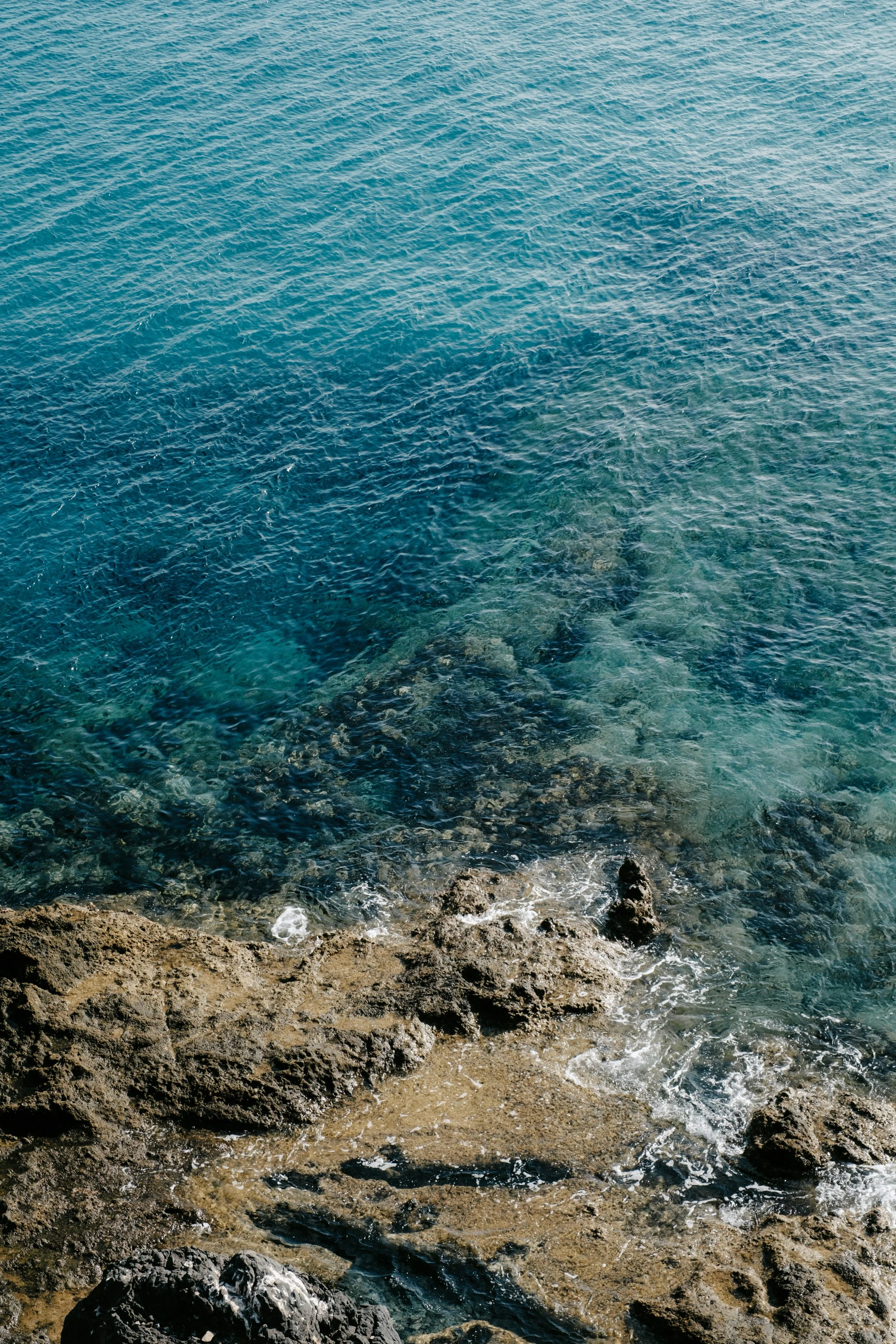 mathias-reding-rPjQZuWhqec-unsplash.jpg