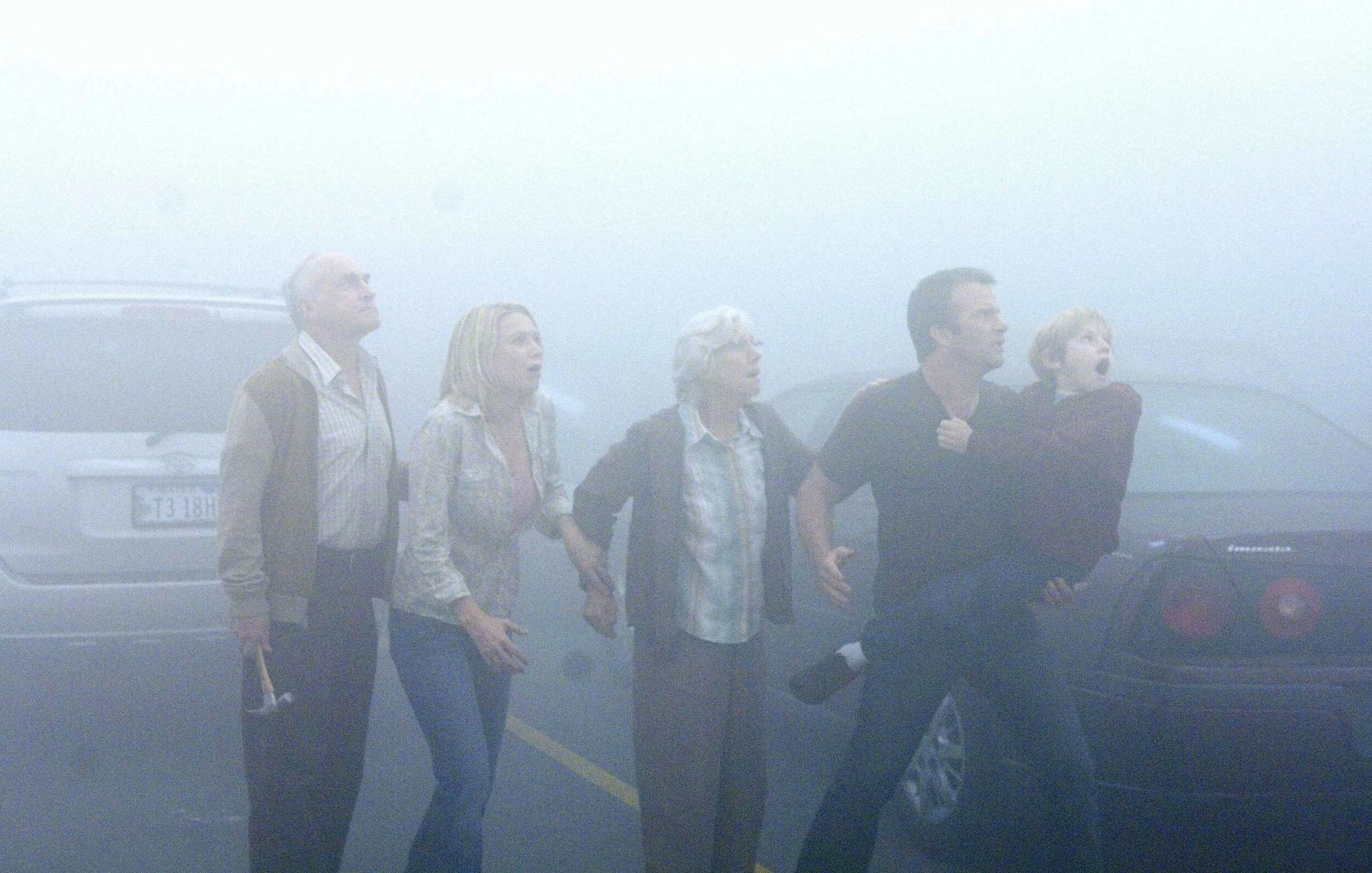 THE MIST