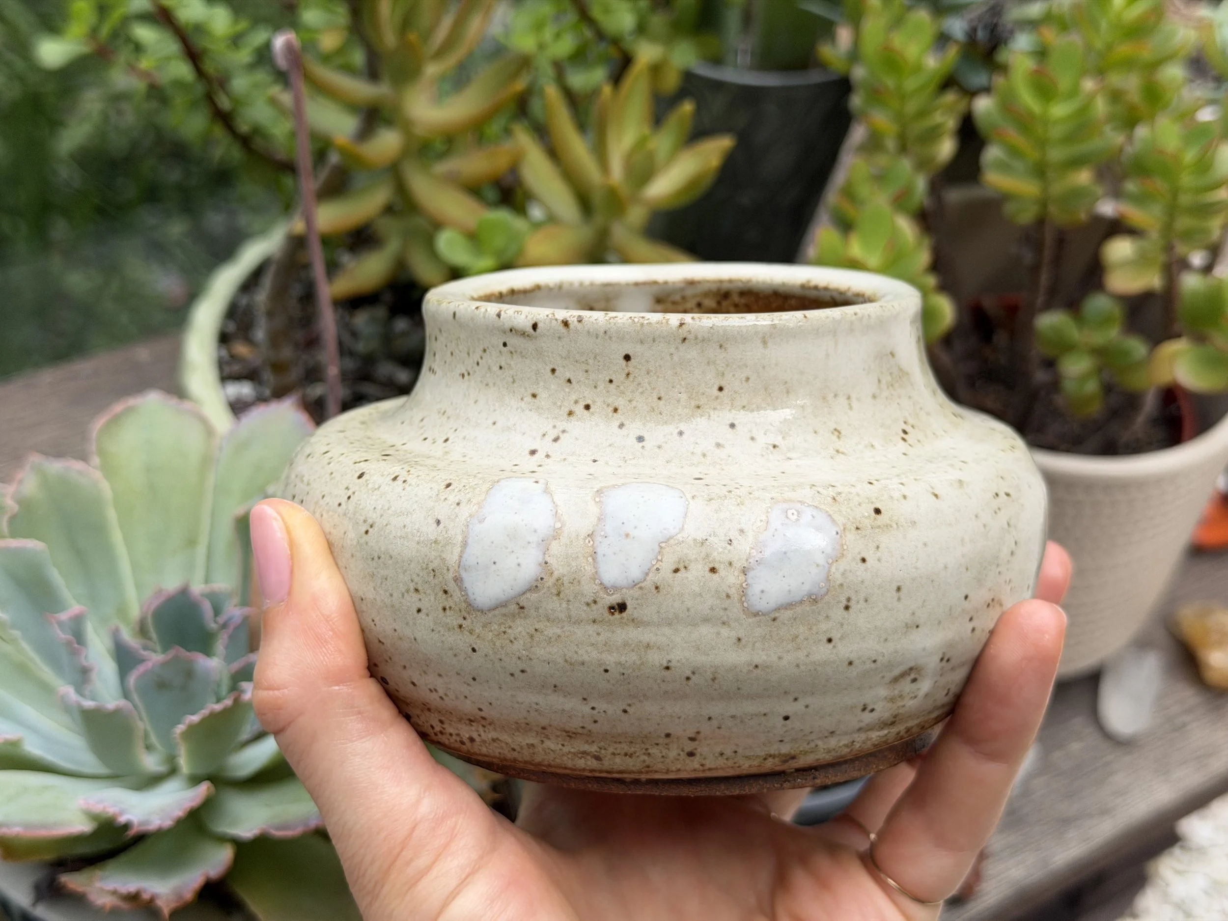 IMG_5764.jpeg