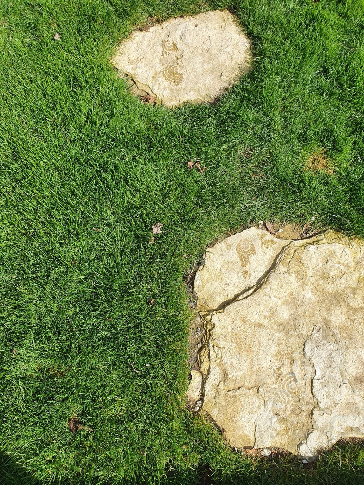 Durlston Stepping Stone - Purbeck Paving Stones
