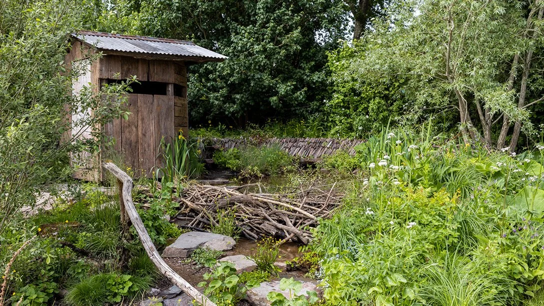 A Rewilding Britain Garden, Chelsea flower show 2022