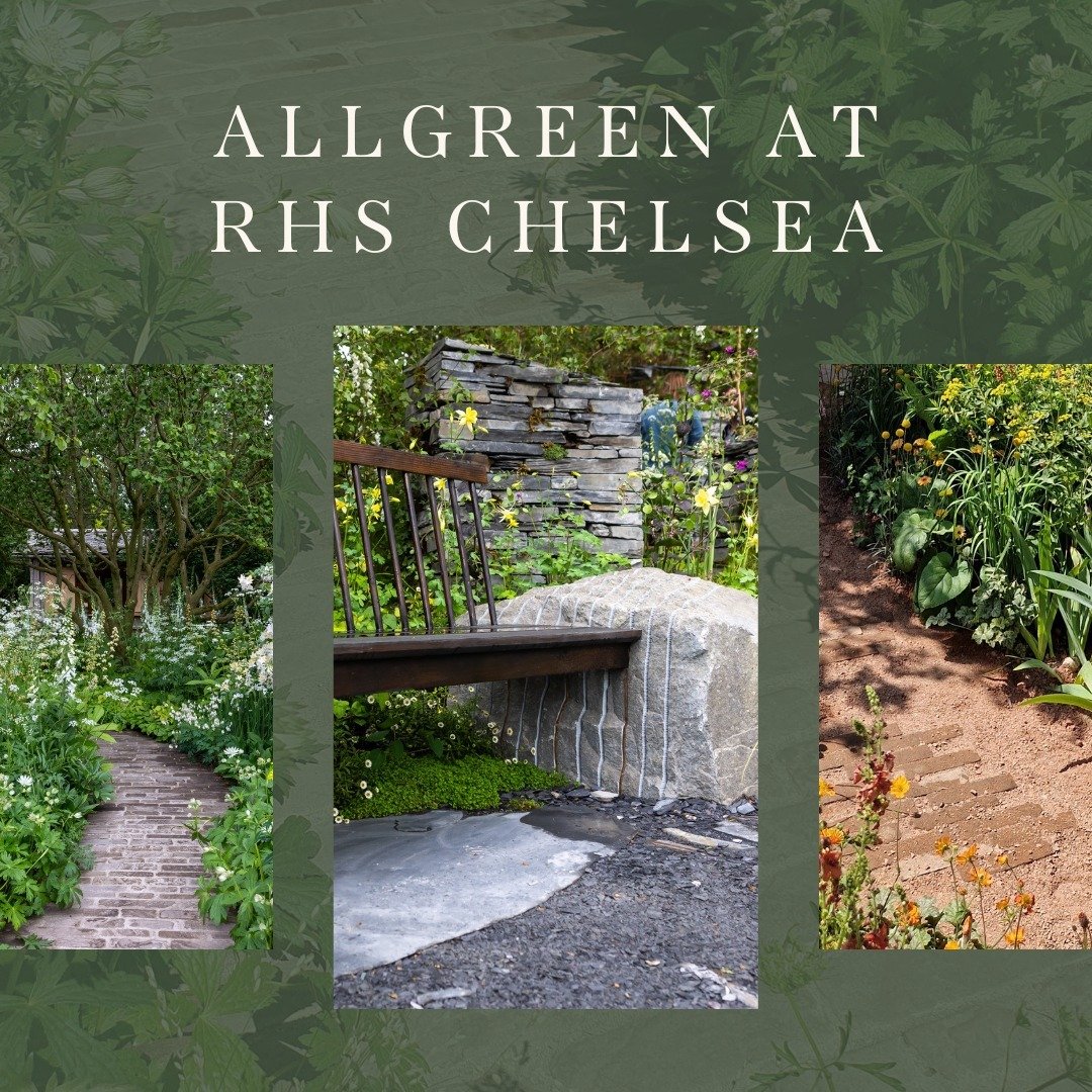 Allgreen at RHS Chelsea Flower Show. 

The creations at this year's Chelsea Flower Show have been absolutely remarkable. The effort and innovation that is put into the gardens is so wonderfully apparent and here at Allgreen, we are incredibly honoure