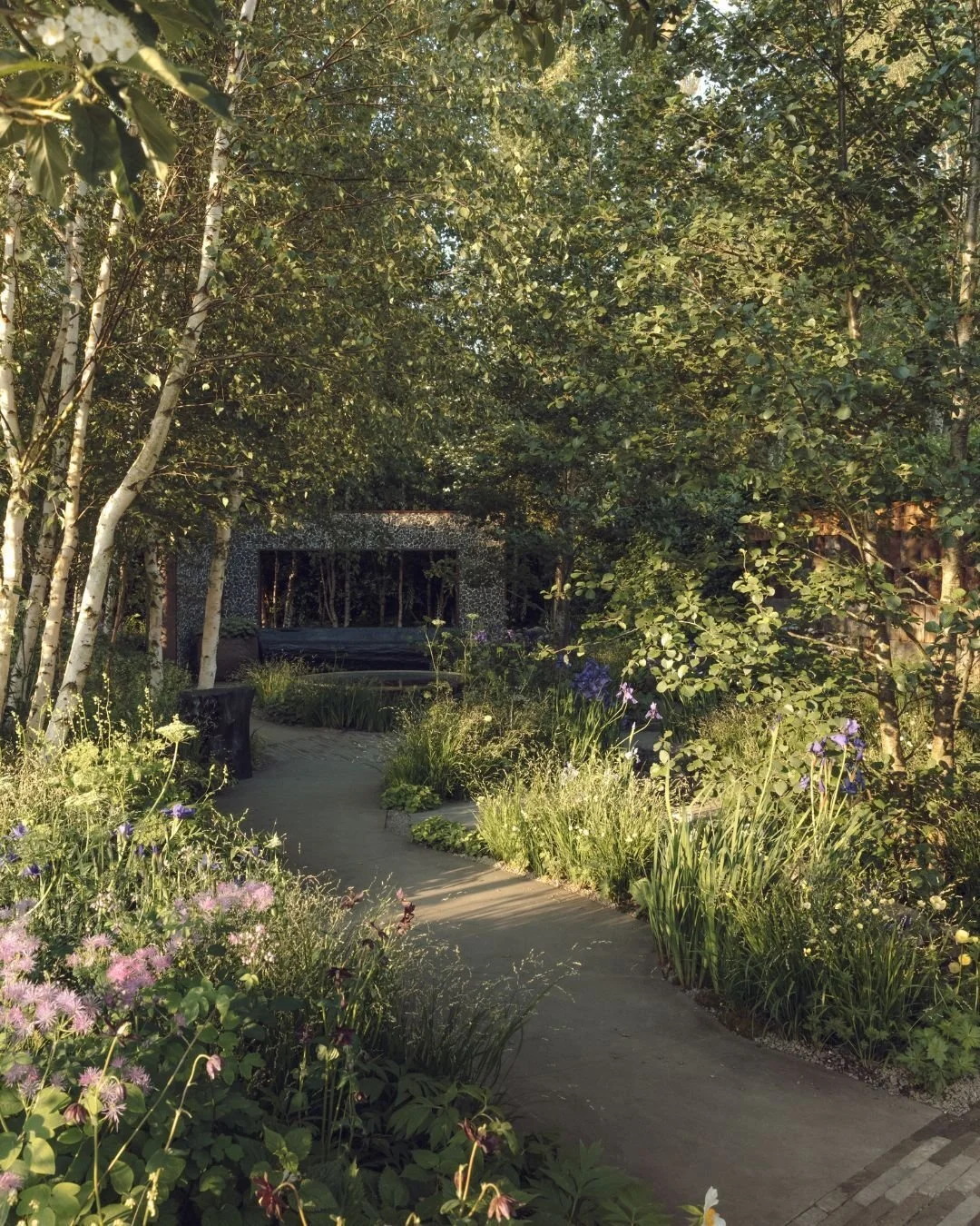 Throwback to the Muscular Dystrophy UK Forest Bathing Garden at Chelsea Flower Show 2024🌿

We love this garden and it's no surprise that it won Gold &amp; Best In Show Garden. It can now be found at The Prince &amp; Princess of Wales Hospice in Glas