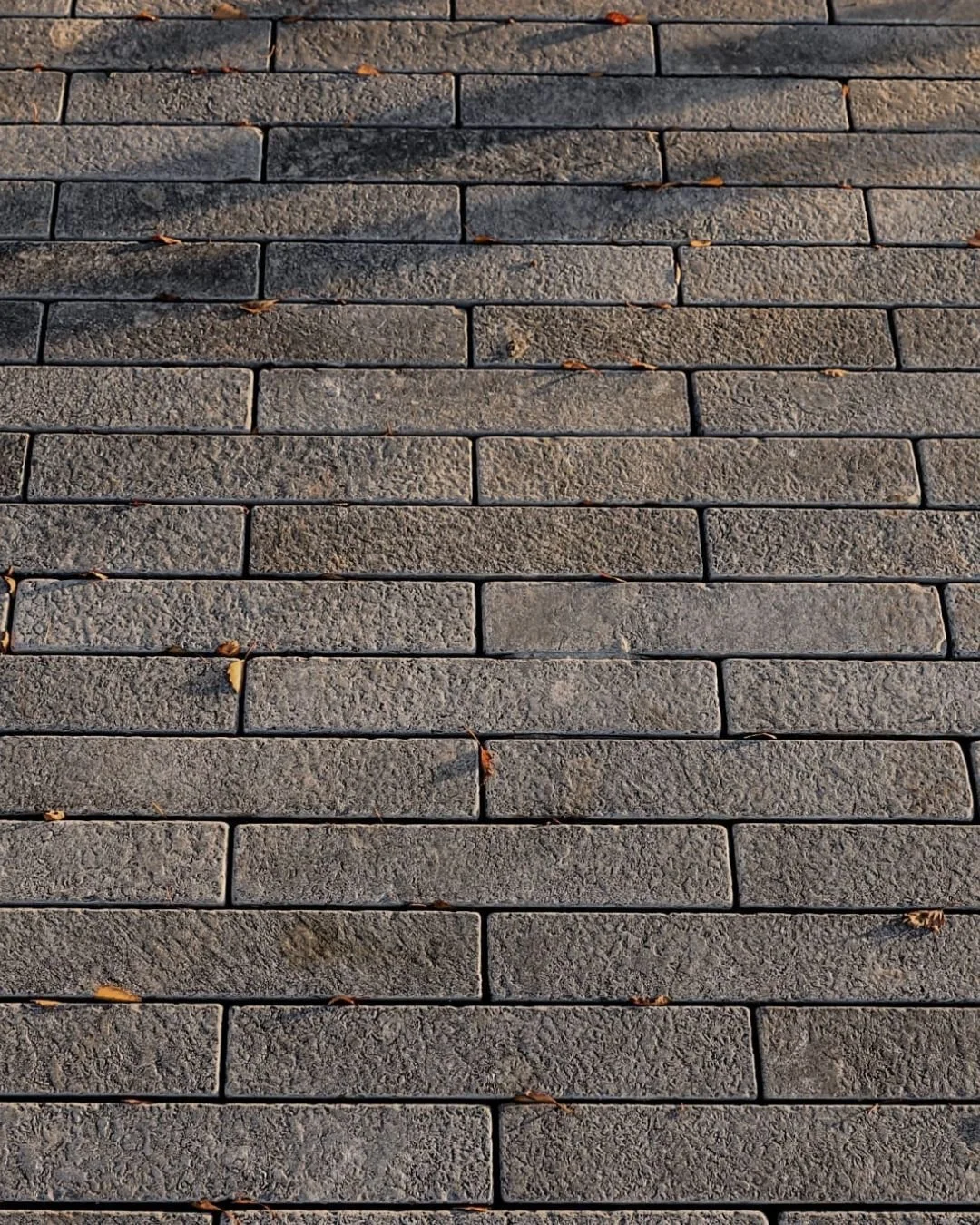 Product spotlight: Sofia Grey Mallets ✨ 

A warm grey Egyptian limestone, beautifully detailed with subtle dark fossils that add natural depth and character.

Sized at 70 &times; 400 &times; 30 mm, these versatile mallets can be laid in a variety of 