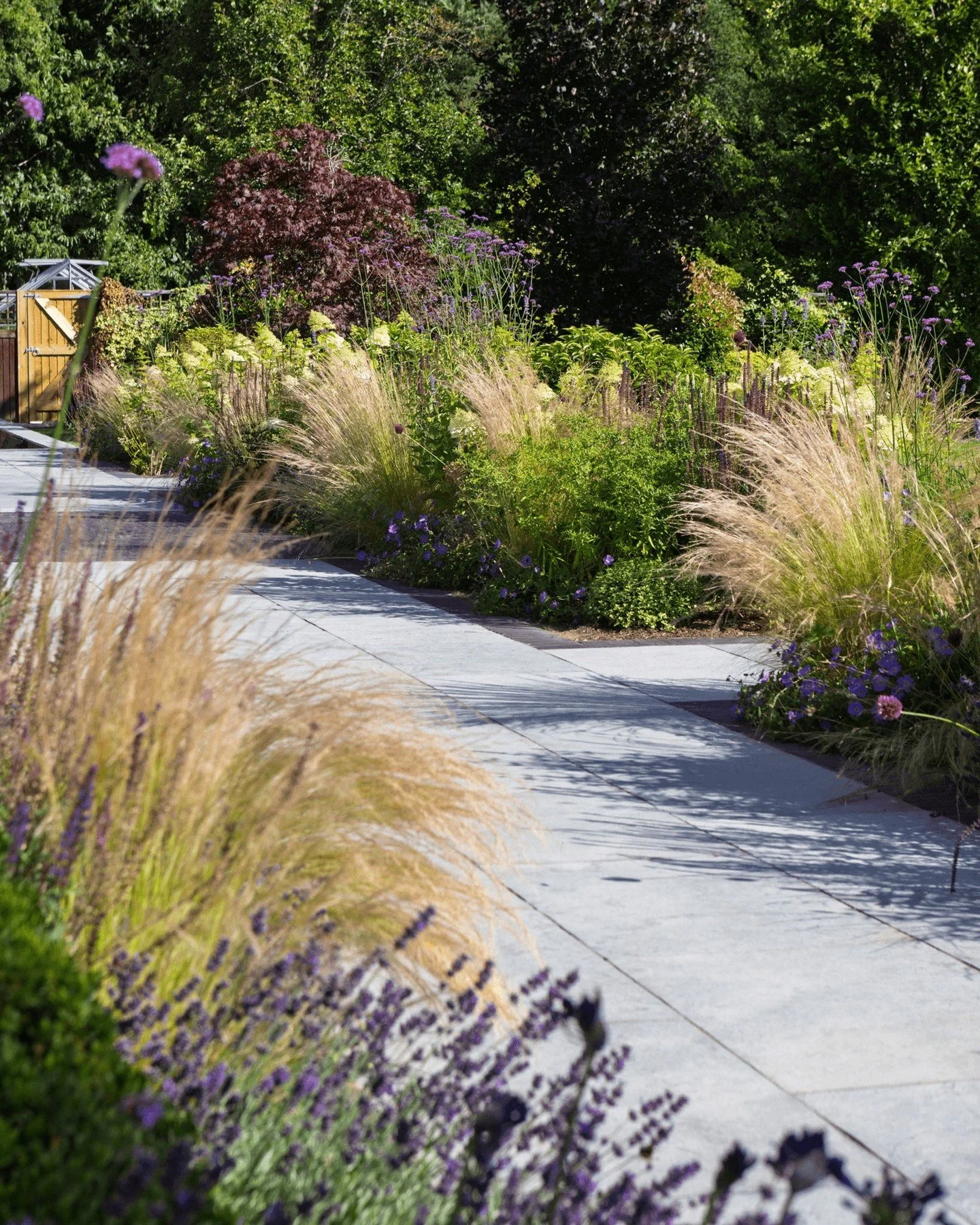 Gris Riven paving brings cool grey tones to this lush garden, creating a gorgeous contrast between the light grey path and the vibrant greenery and pops of purple bloom 💚 

Credits:
Garden Design by Jen Donnelly Garden Design @jendgardens
Photograph