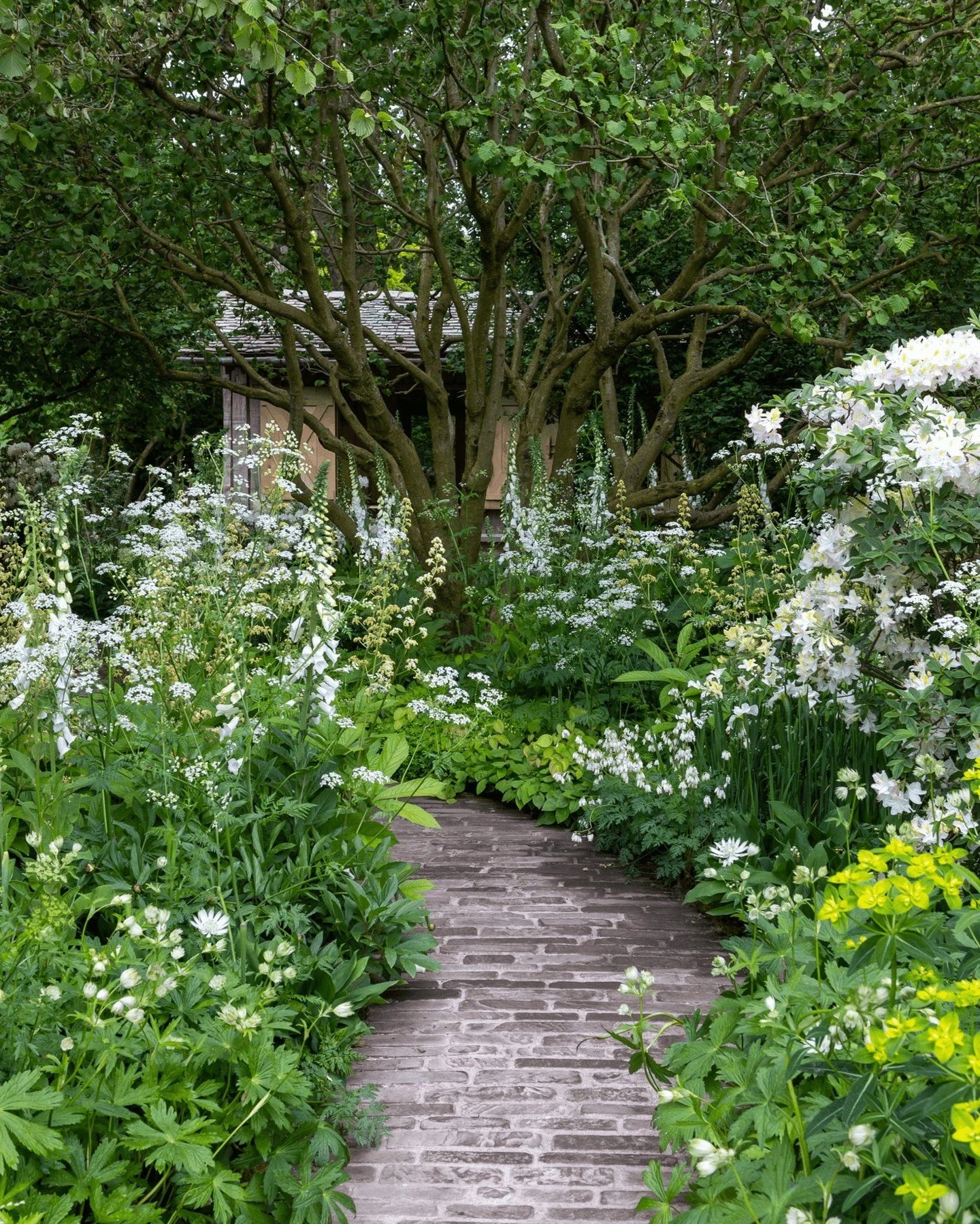 This 'edge of woodland' themed garden celebrated the National Garden Scheme's 100th anniversary of raising funds and opening gardens to the public at Chelsea Flower Show 2024 🌿 

We are proud to have supplied Reclaimed Yorkstone pitchers to this Gol