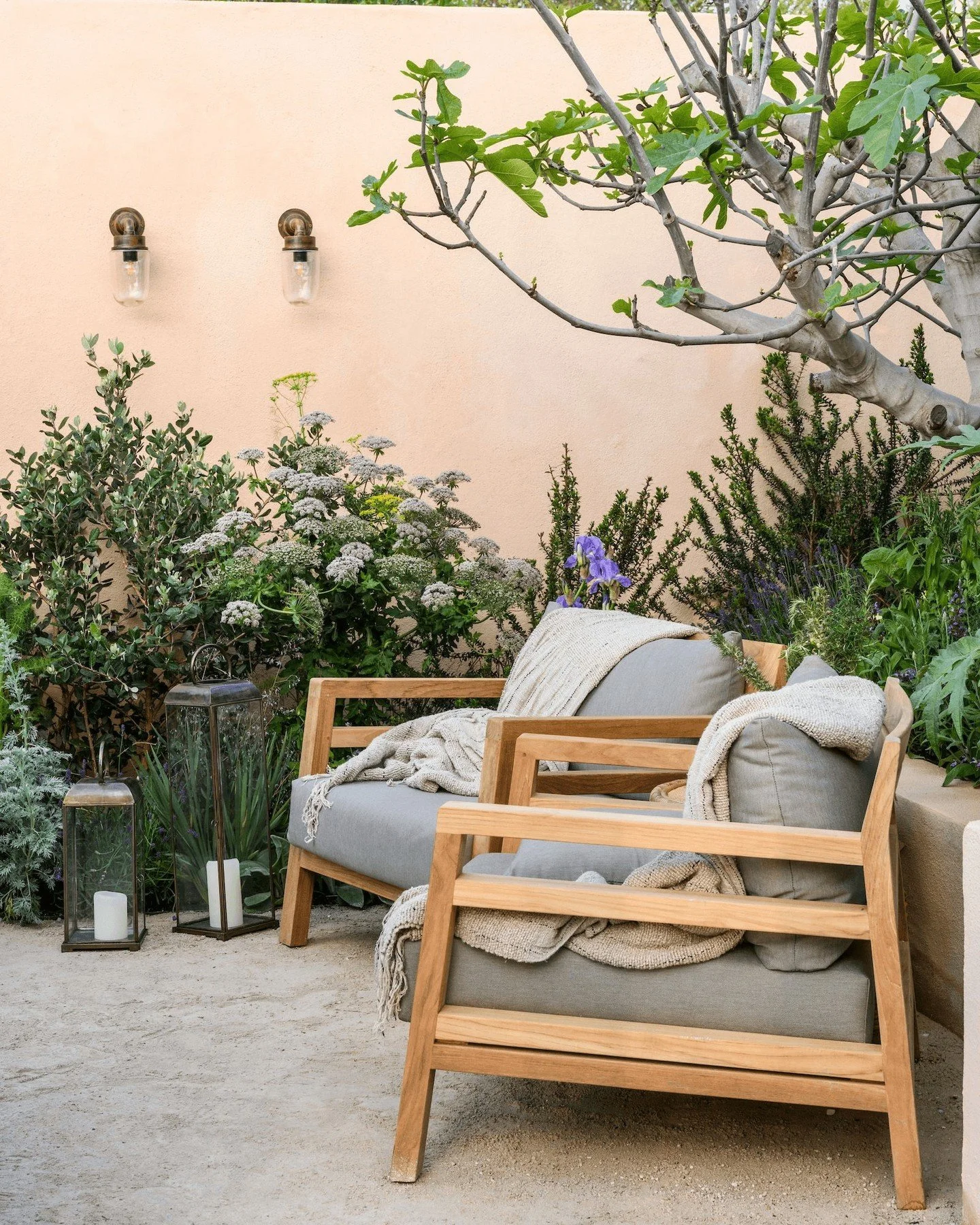The lovely beige and pink tones of this photo make us wish it was summer already 🌞 

This is no wonder, as Hamptons Mediterranean Garden from Chelsea Flower Show 2023 was inspired by a Mediterranean palette, including vegetation, colours, textures a