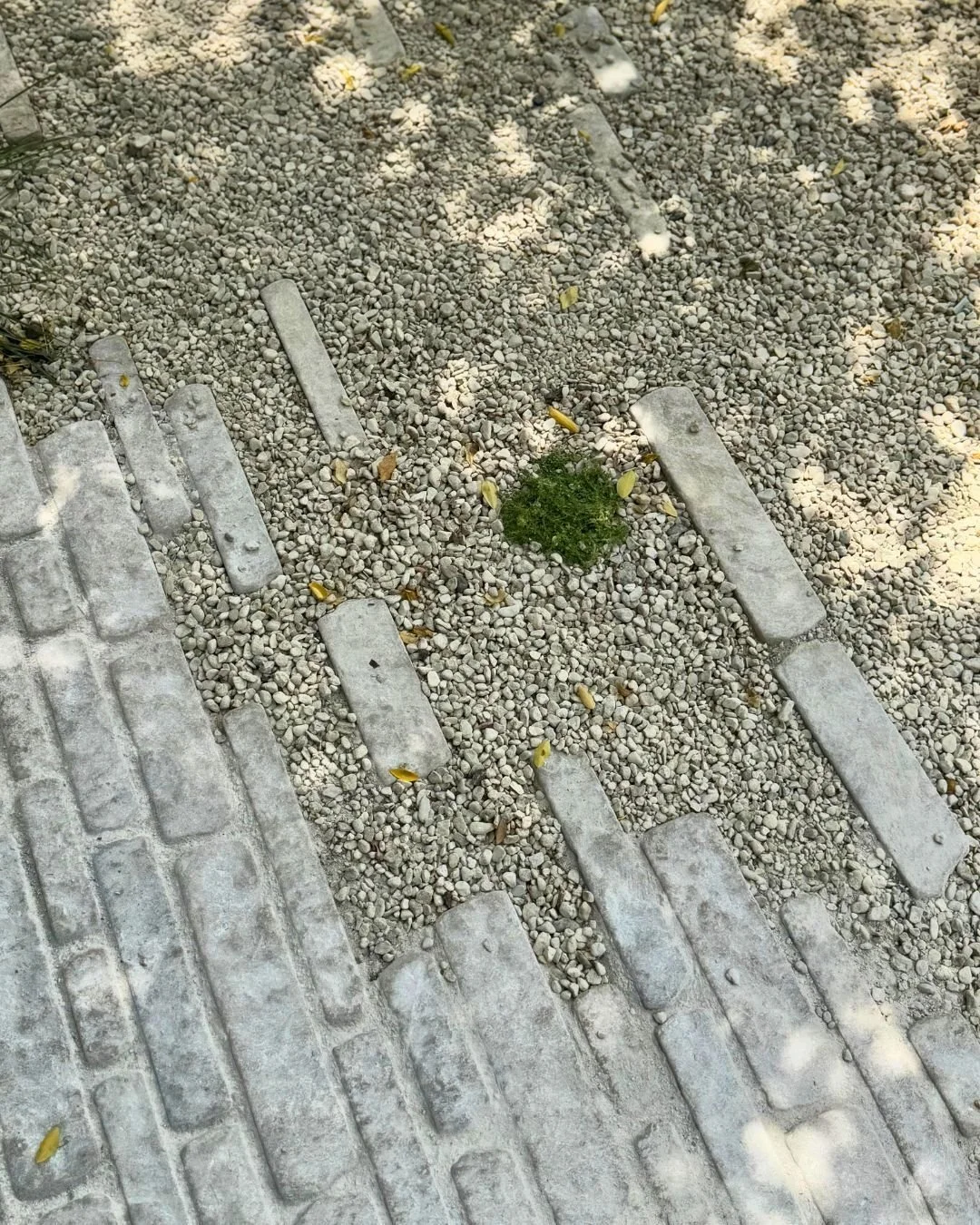 Happy Monday with this gorgeous beige moodboard, featuring Zahra Beige Pitchers, Cotswold Pebbles 10mm and Dorset Buff Fines 🌿 

Credits:
Designed and built by @tomhowardgardens 

Allgreen. Masters in Stone.