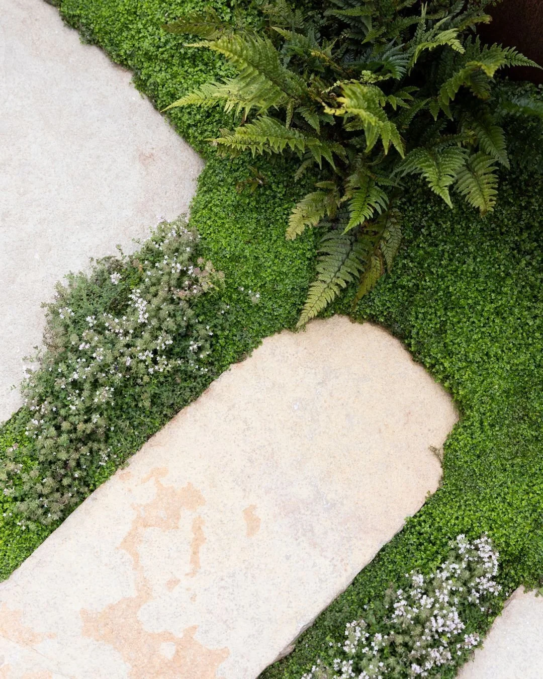 Thursday Spotlight: Ruishton Weathered Riven ✨ .

Ruishton Weathered Rive is a premium Indian Limestone hand quarried with a traditional natural riven finish. Its warm character and pale olive and gold tones make this durable limestone very versatile