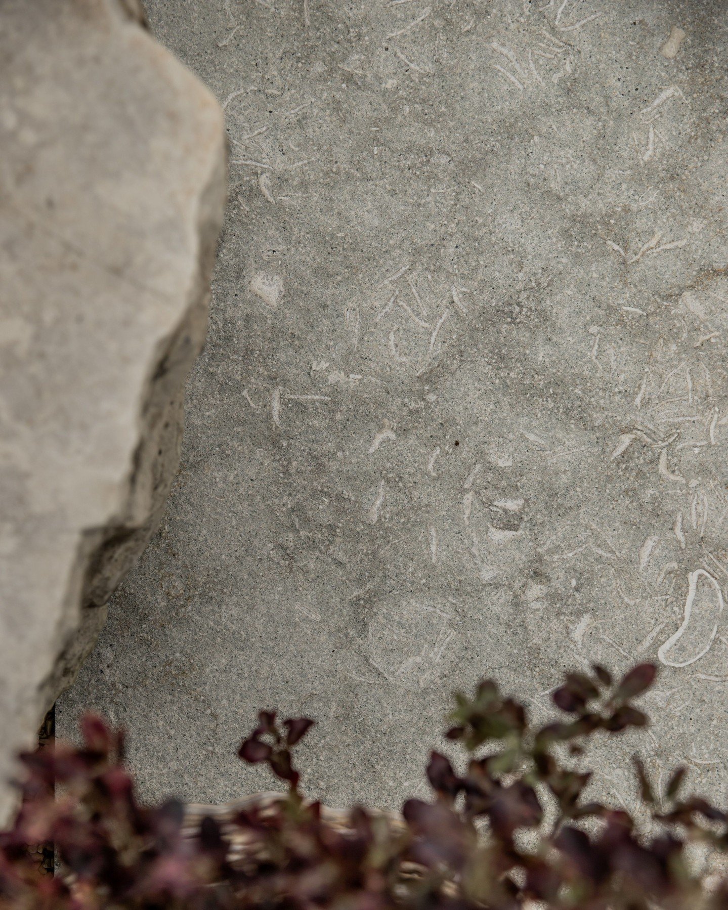 Happy Monday! 

We're kicking off the week with a mix of warm and cool beige tones✨ . 

Langton Feature Stone paired with Esra Flamed paving creates a neutral material palette and balanced mix where soft fossils meet creamy pale grey colours. 

Visit