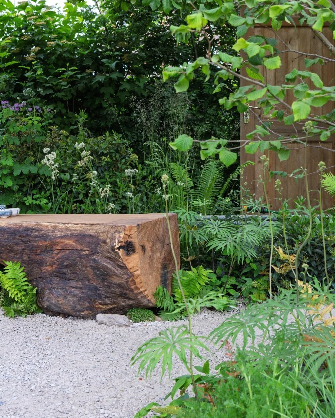 The Garden of the Future is a 2025 Chelsea Flower Show Gold Medal Winner 🏅 

It's set in a near future where the UK is experiencing severe effects of climate change, including higher temperatures and extreme weather conditions. The plants in the gar