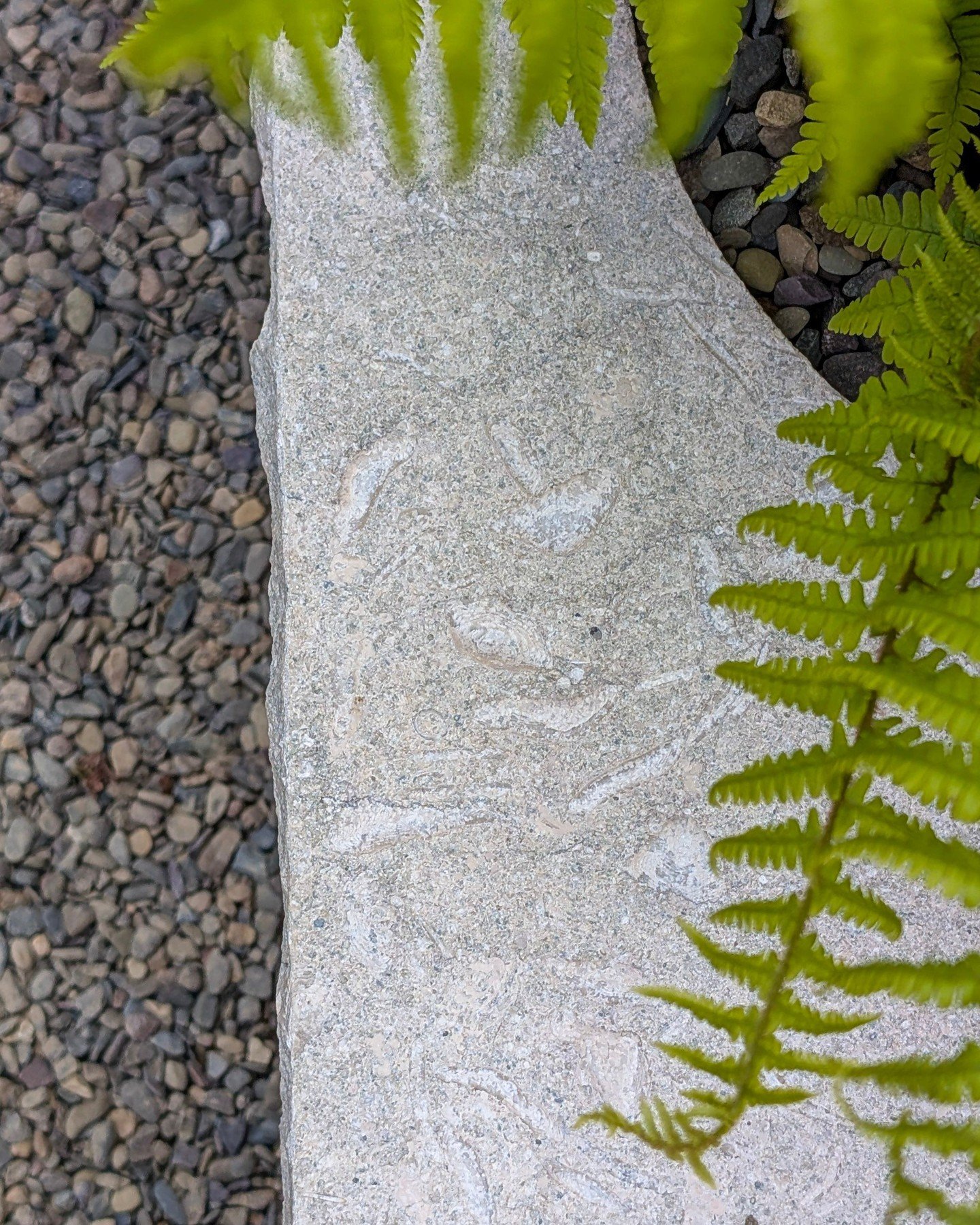 Happy Monday ✨ 

Here's a close look at the beautiful contrast of light and dark tones featured at the ONE Garden at Malvern Spring Festival 2026. 

Crafted from Esra Flamed and Brushed, the bespoke bench brings soft pale grey tones and subtle olive 