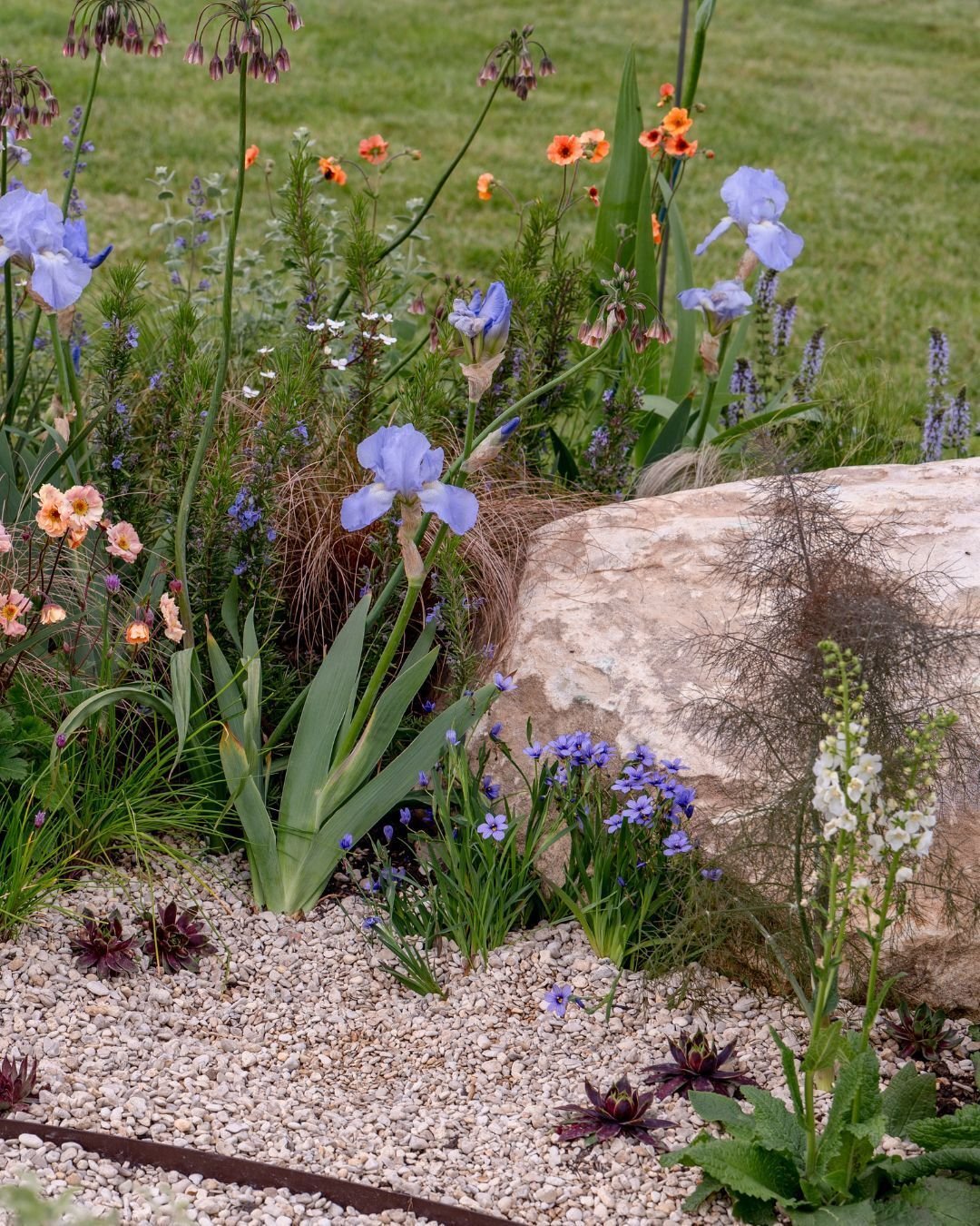 Welcome to 'Finding Balance,' a Silver Medal-winning garden at RHS Malvern Spring Festival 🌿 

This sensory border garden is designed to encourage reflection and peace and its layout is inspired by the experience of Acoustic Neuroma, a rare benign t