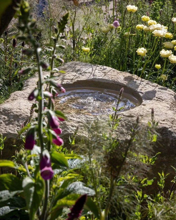 Today, it's all about the details ✨ 

This gorgeous photo focuses on a very bespoke Langton Boulder and Water Feature filled with Cotswold Pebbles, a standout piece as part of the 'Cleary Gottlieb: Time for Creativity' at the Chelsea Flower Show. 

C