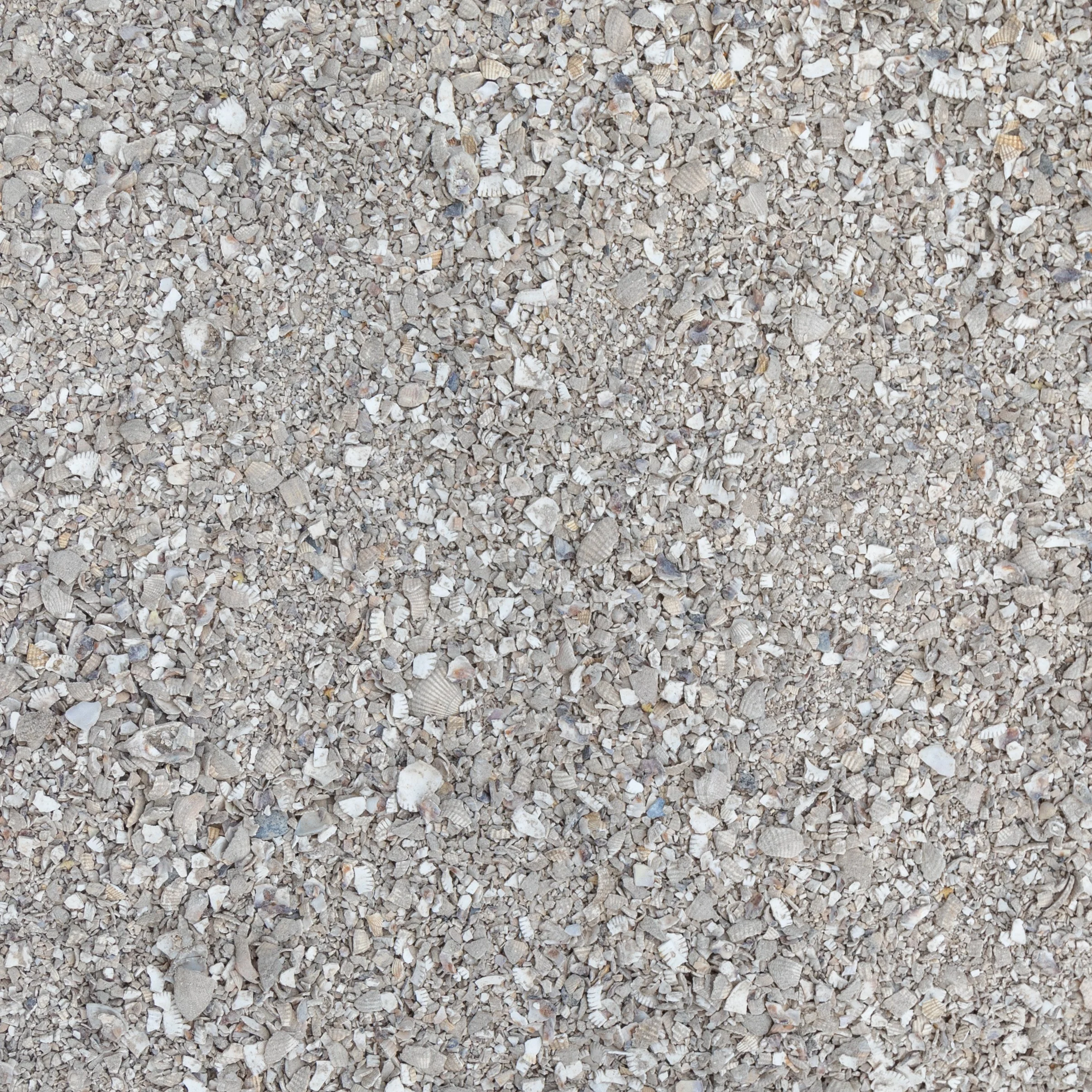 Crushed Cockle Shell 0-14mm sample