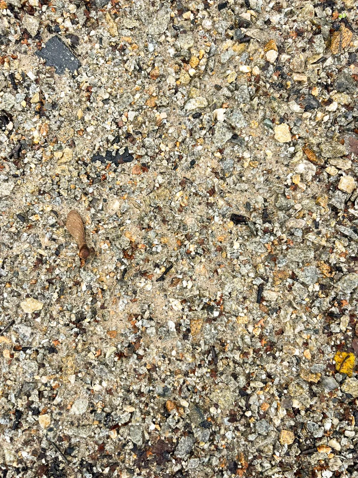 dartmoor grey selfbinda gravel warm variation.jpg