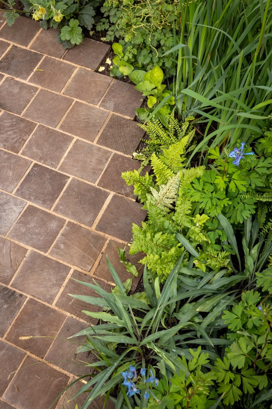 Oak Setts laid at Chelsea Flower Show