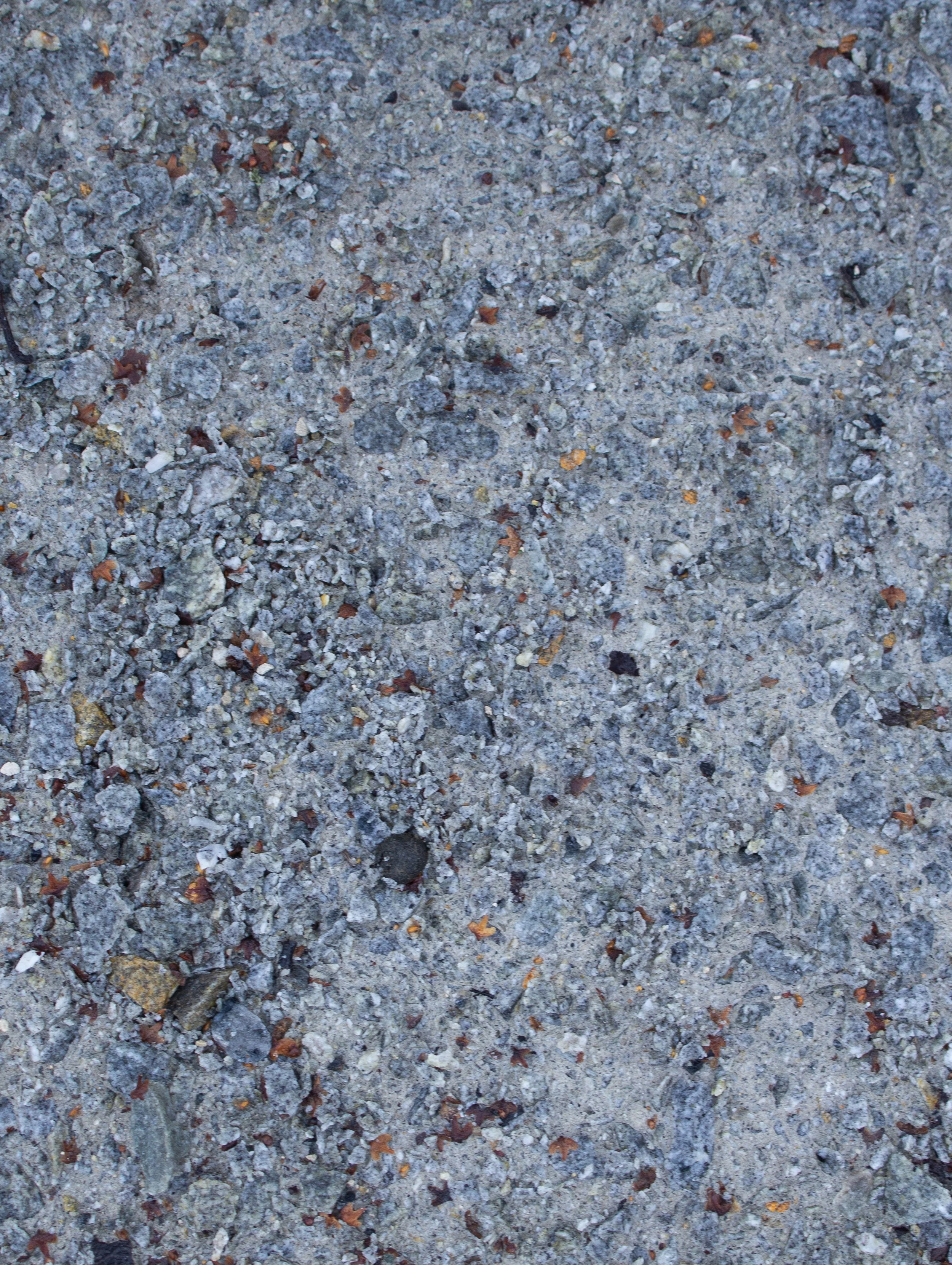 dartmoor grey selfbinda grey variation.jpg