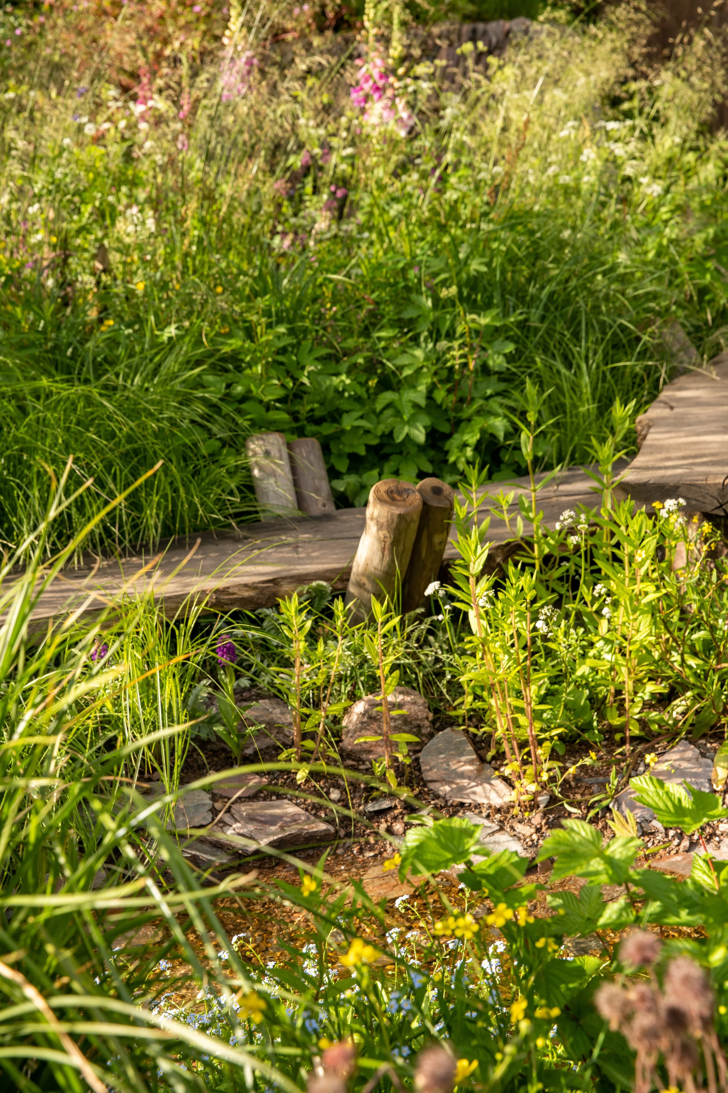 A Rewilding Britain Garden, Chelsea flower show 2022 — Allgreen