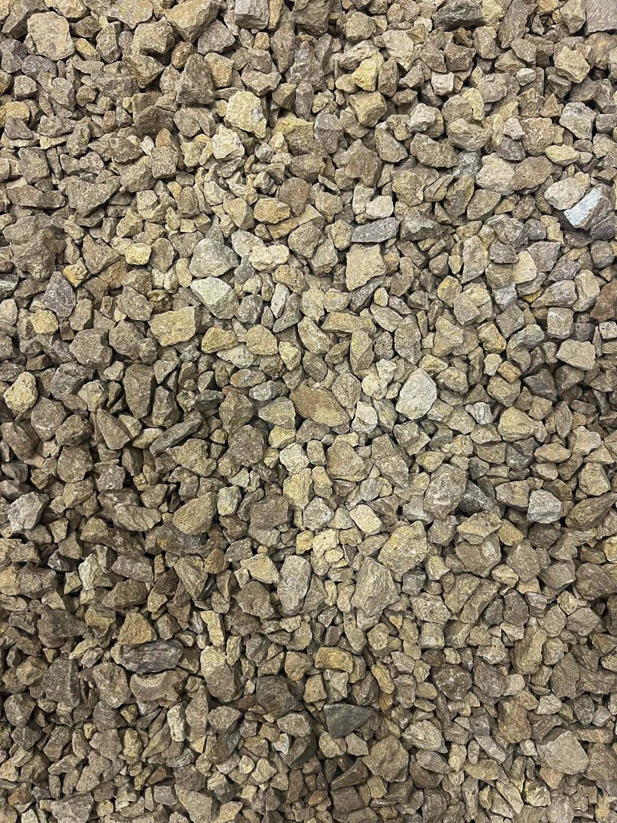 WhatsApp Image 2026-03-18 at 12.47.51.jpg