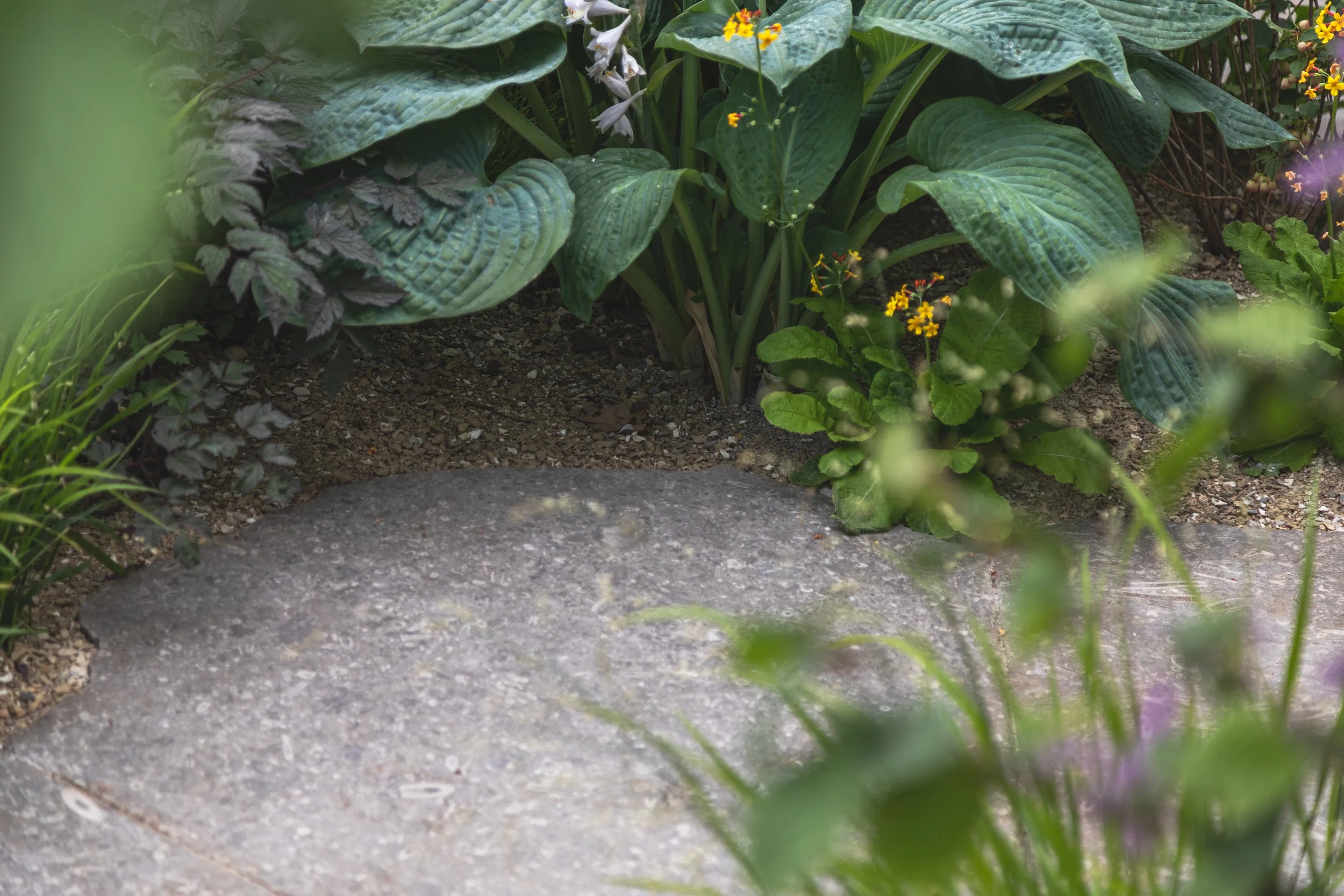 Boodles Garden CFS 202