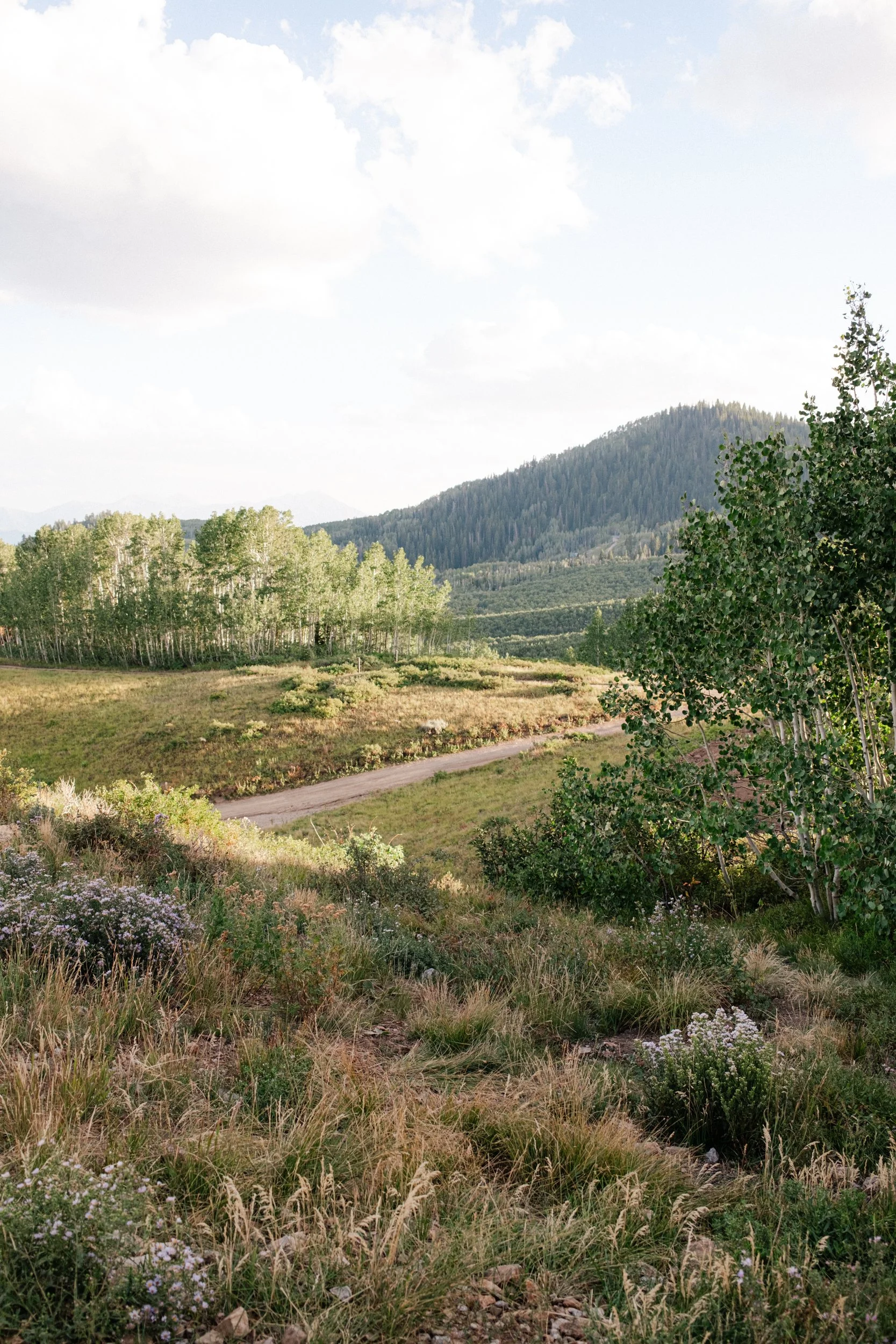 A Park City Utah Engagement in the Mountains Lauren Galloway Photography-7.jpg