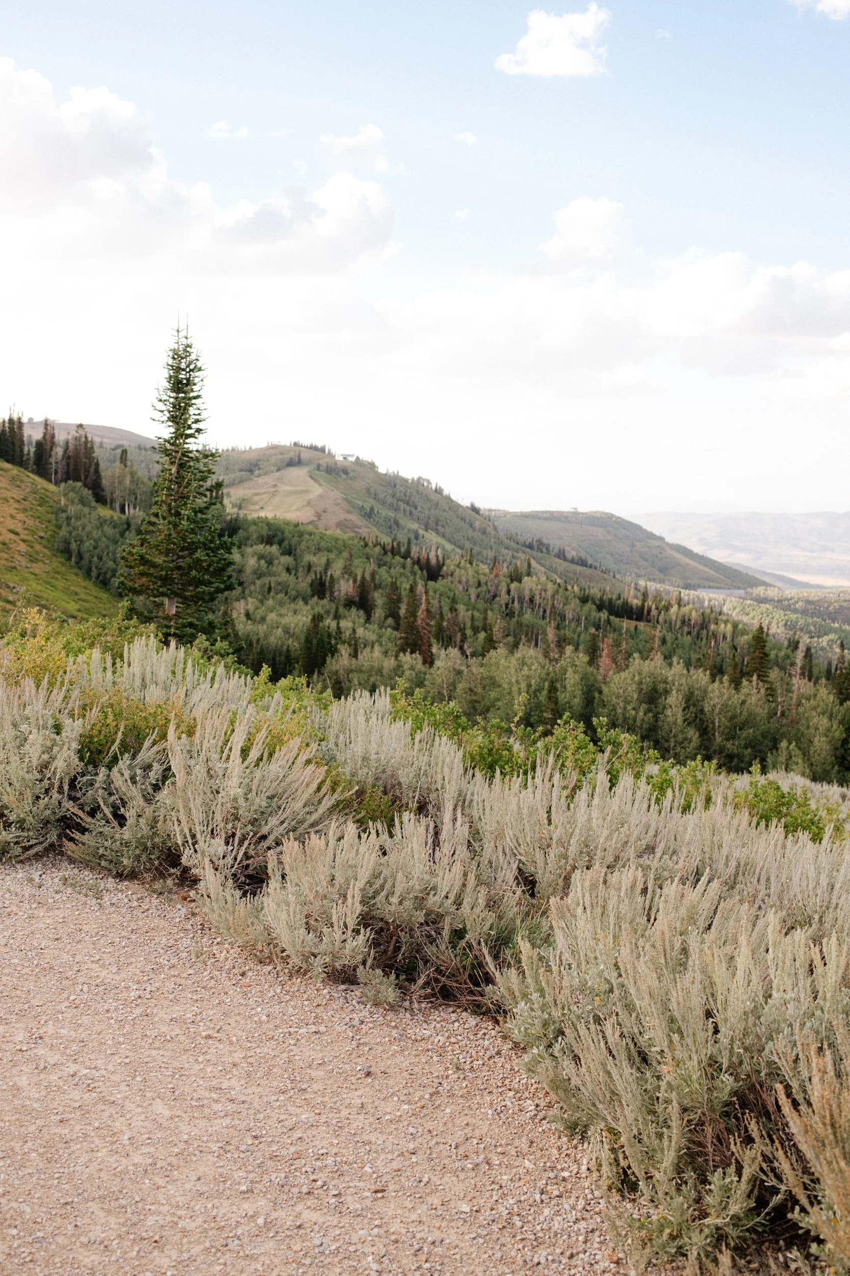 A Park City Utah Engagement in the Mountains Lauren Galloway Photography-5.jpg