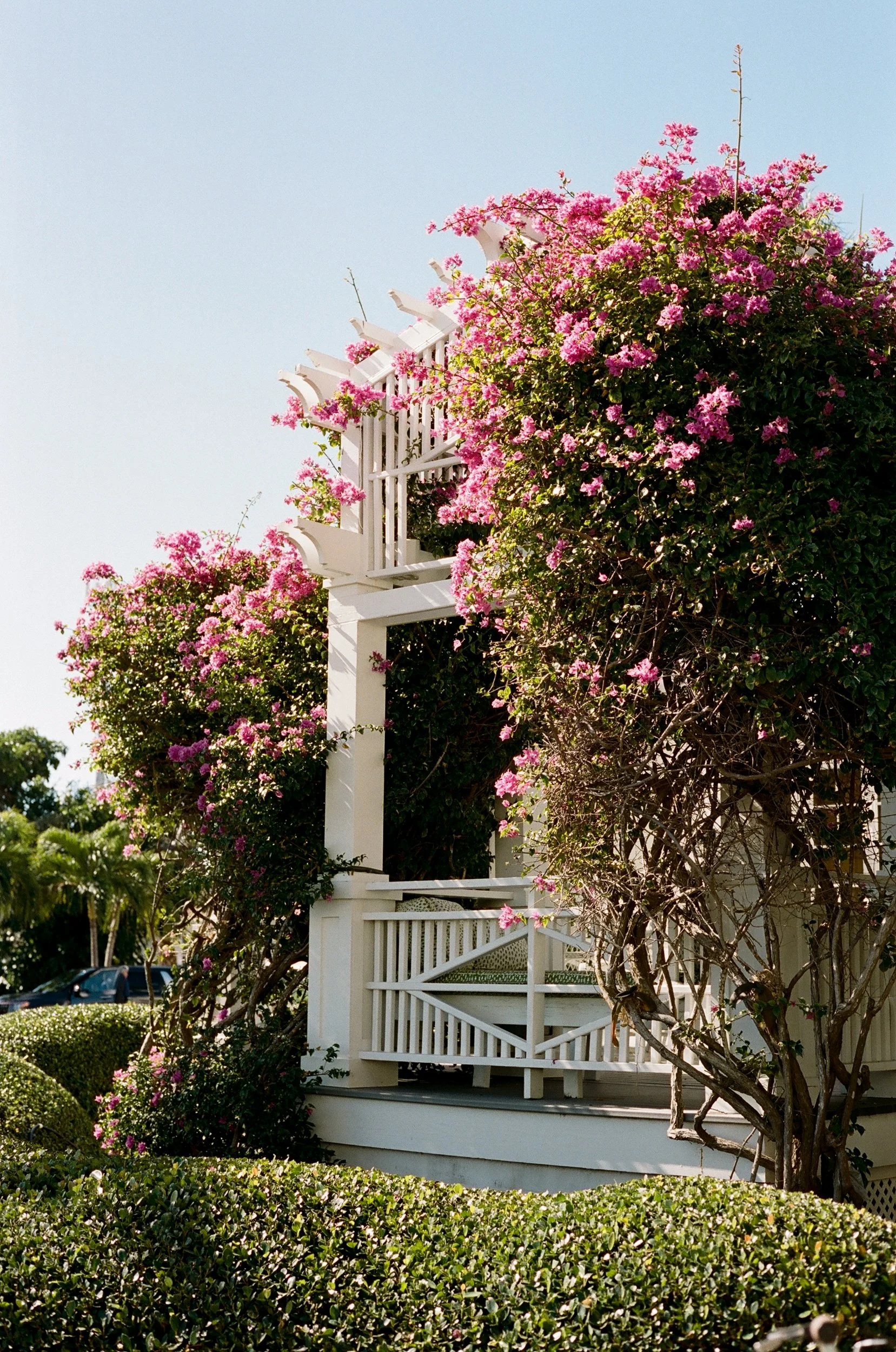 Boca-Grande-Gasparilla-Inn-Wedding-Lauren-Galloway-Photography-76.jpg