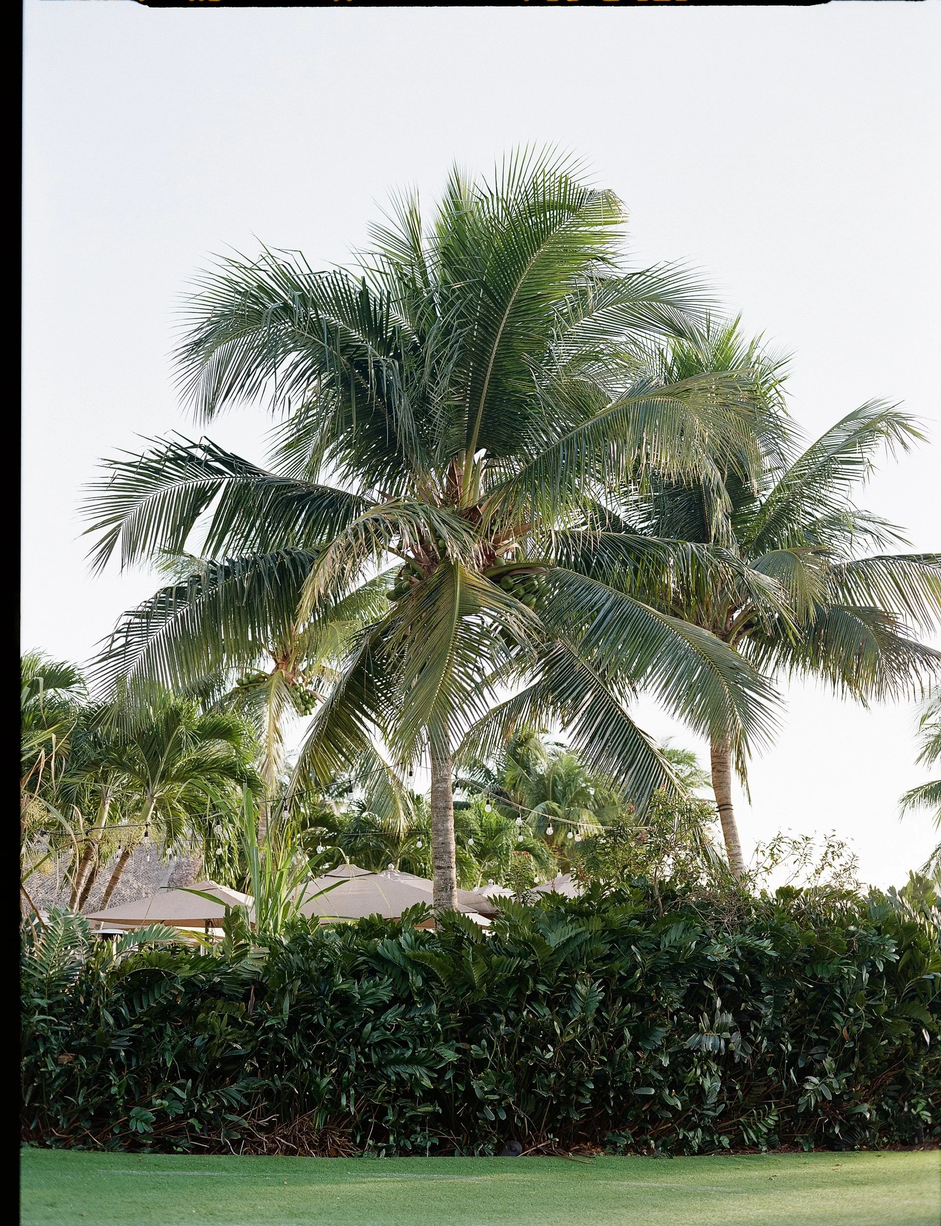 JW Mariott Marco Island Florida Wedding Lauren Galloway Photography-34.jpg