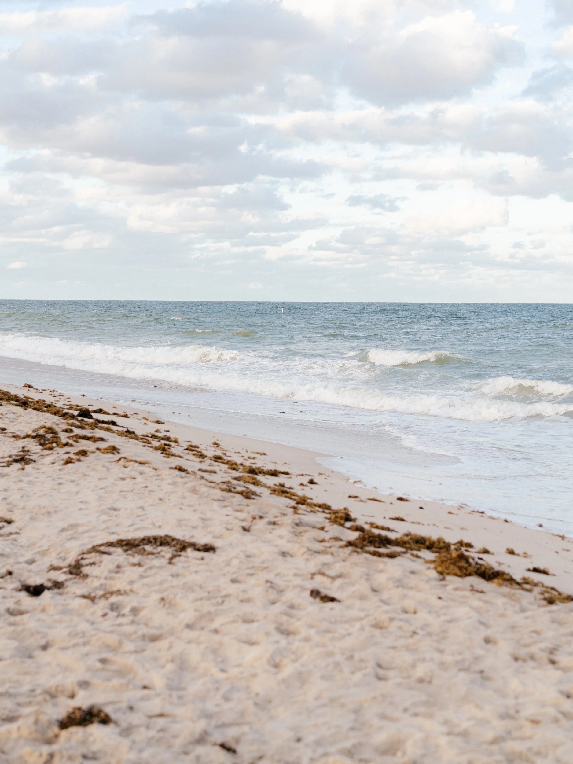 Miami Boca Raton Engagement Photography Morikami Gardens-59.jpg
