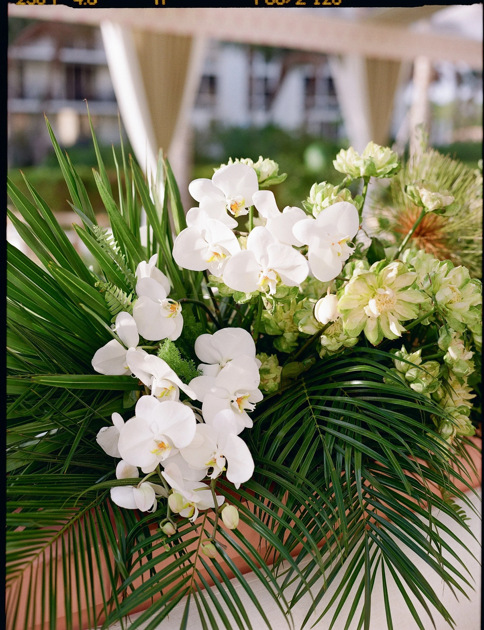 Longboat-Key-St-Regis-Wedding-Florida-Lauren-Galloway-207.jpg