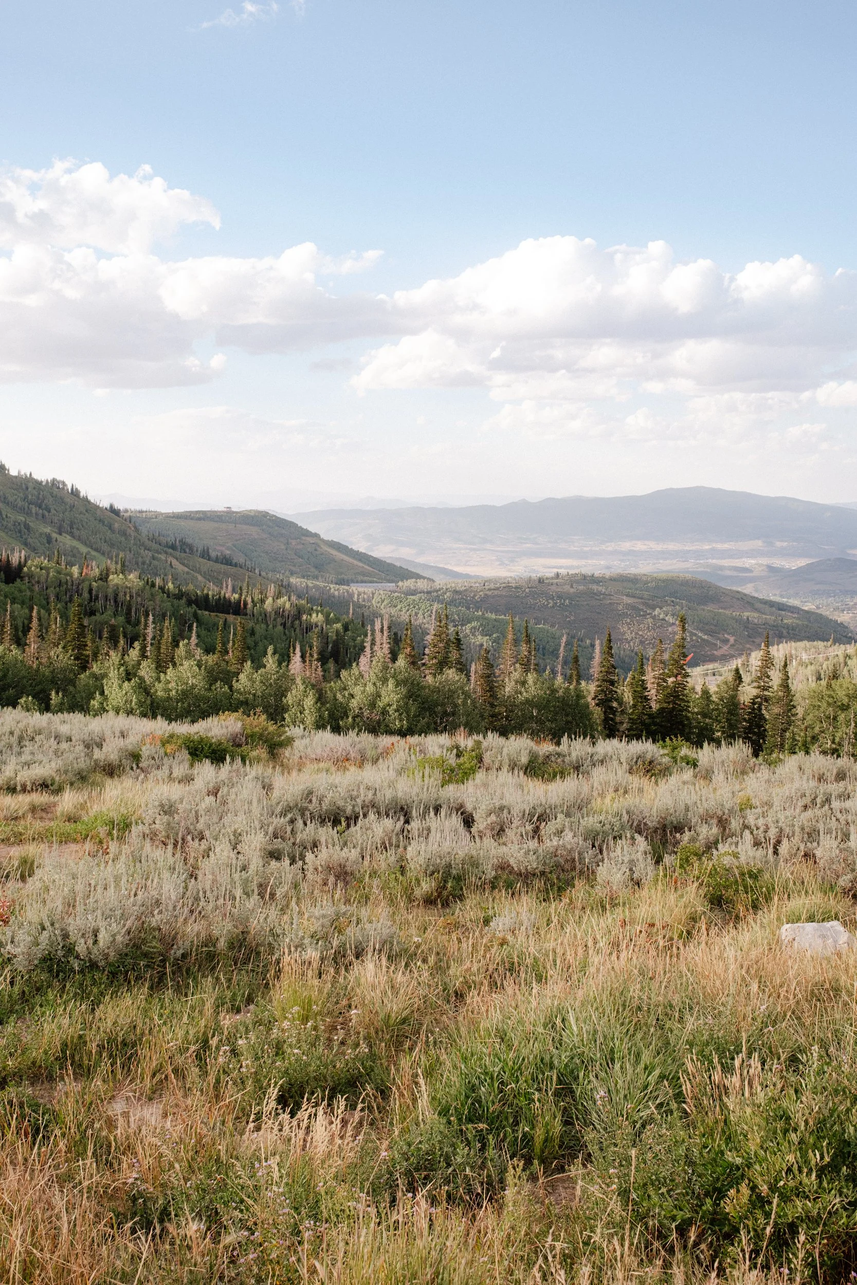 A Park City Utah Engagement in the Mountains Lauren Galloway Photography-2.jpg