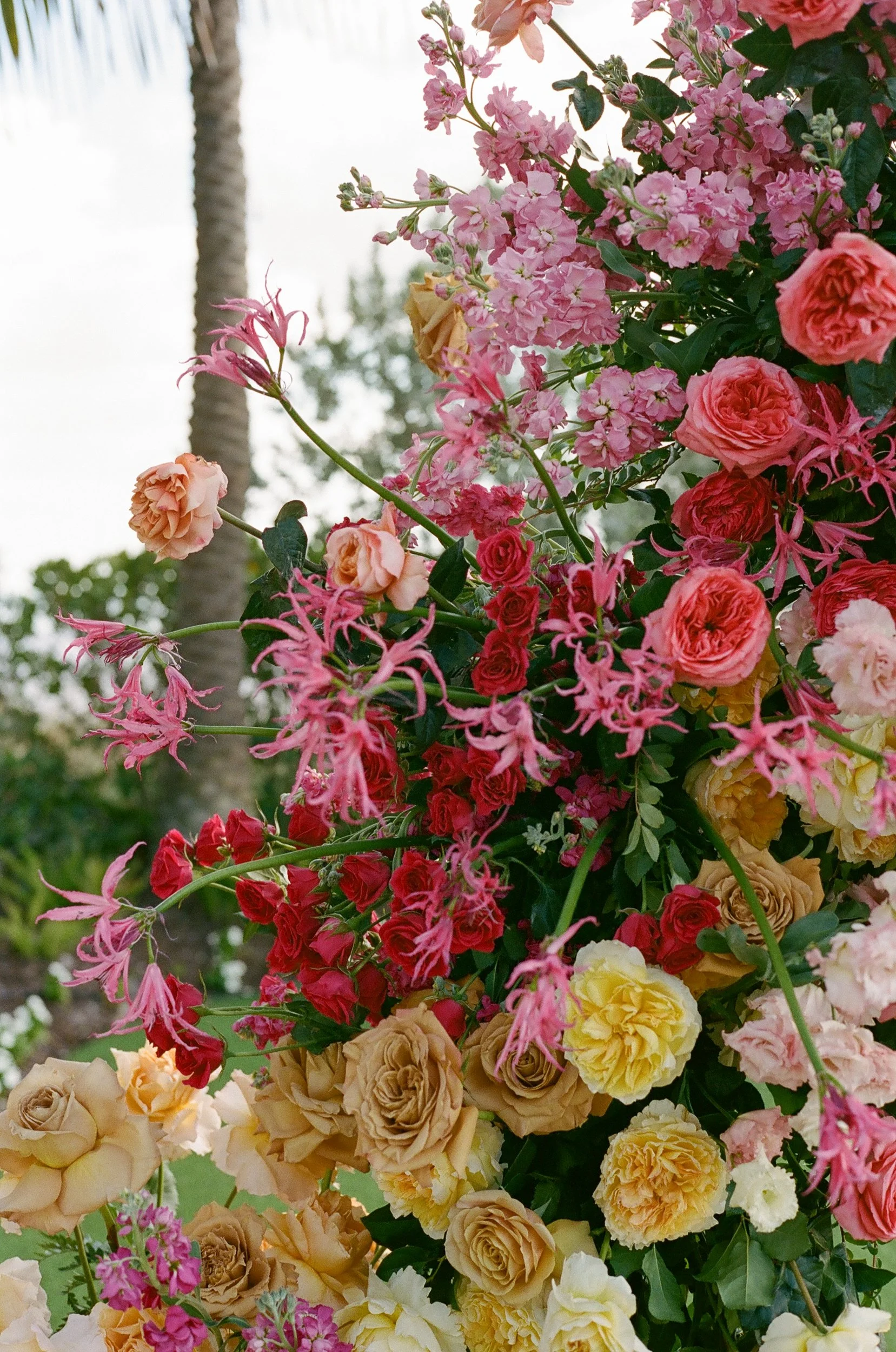 Naples-Florida-La-Playa-Beach-Resort-Wedding-Lauren-Galloway-Photography-128.jpg