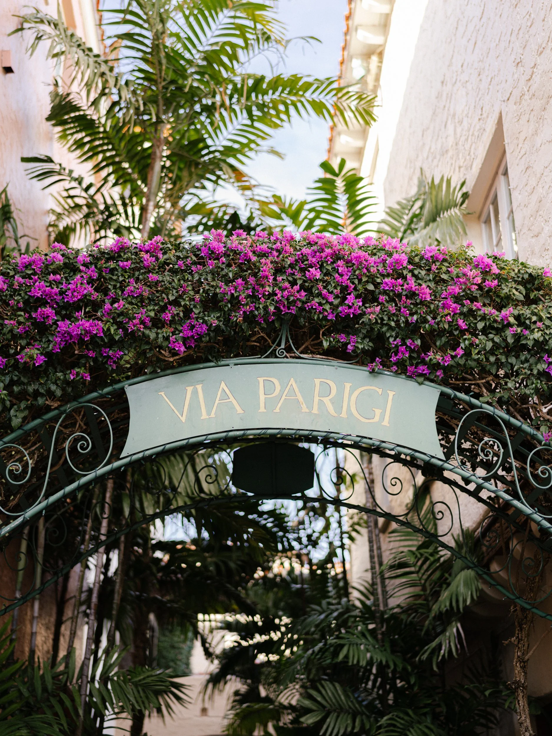 Palm Beeach Engagement Lauren Galloway Photography-7.jpg