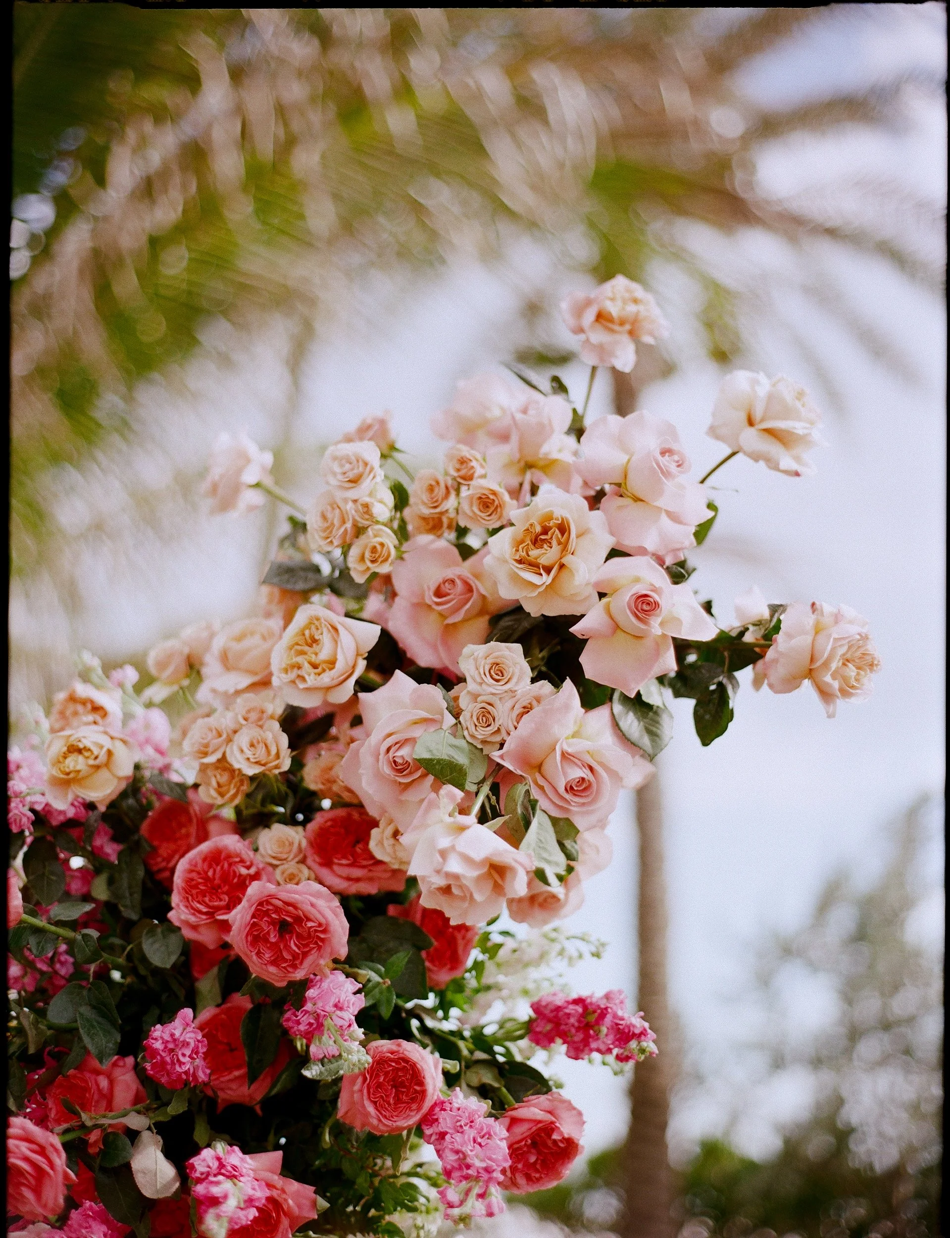 Naples-Florida-La-Playa-Beach-Resort-Wedding-Lauren-Galloway-Photography-132.jpg