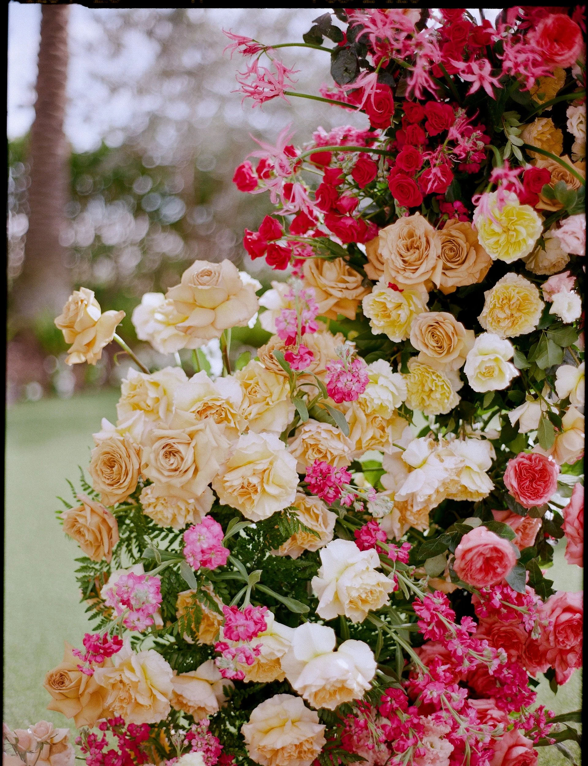 Naples-Florida-La-Playa-Beach-Resort-Wedding-Lauren-Galloway-Photography-133.jpg