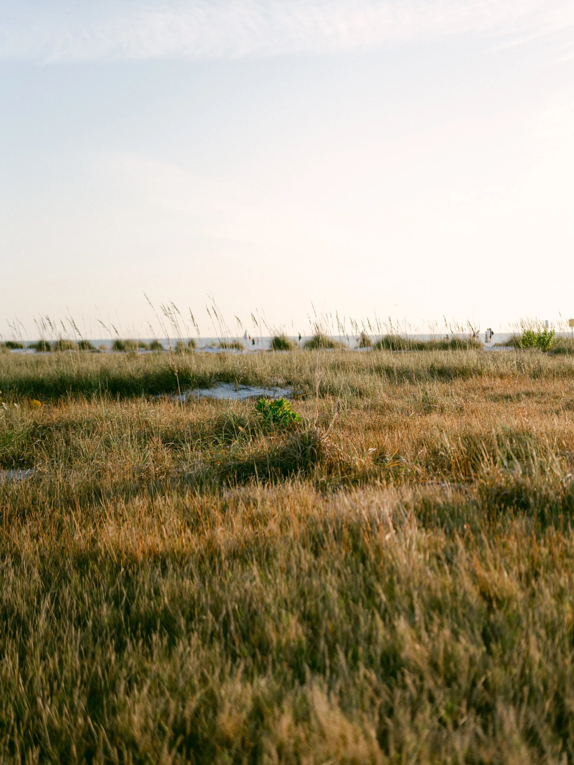 Anna Maria Island Engagement Lauren Galloway Photography-43.jpg