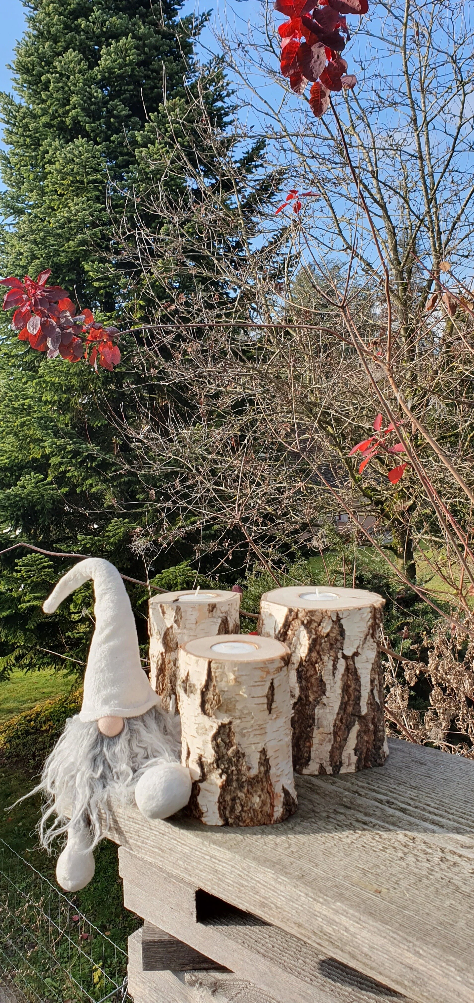 20191130_125920.jpg