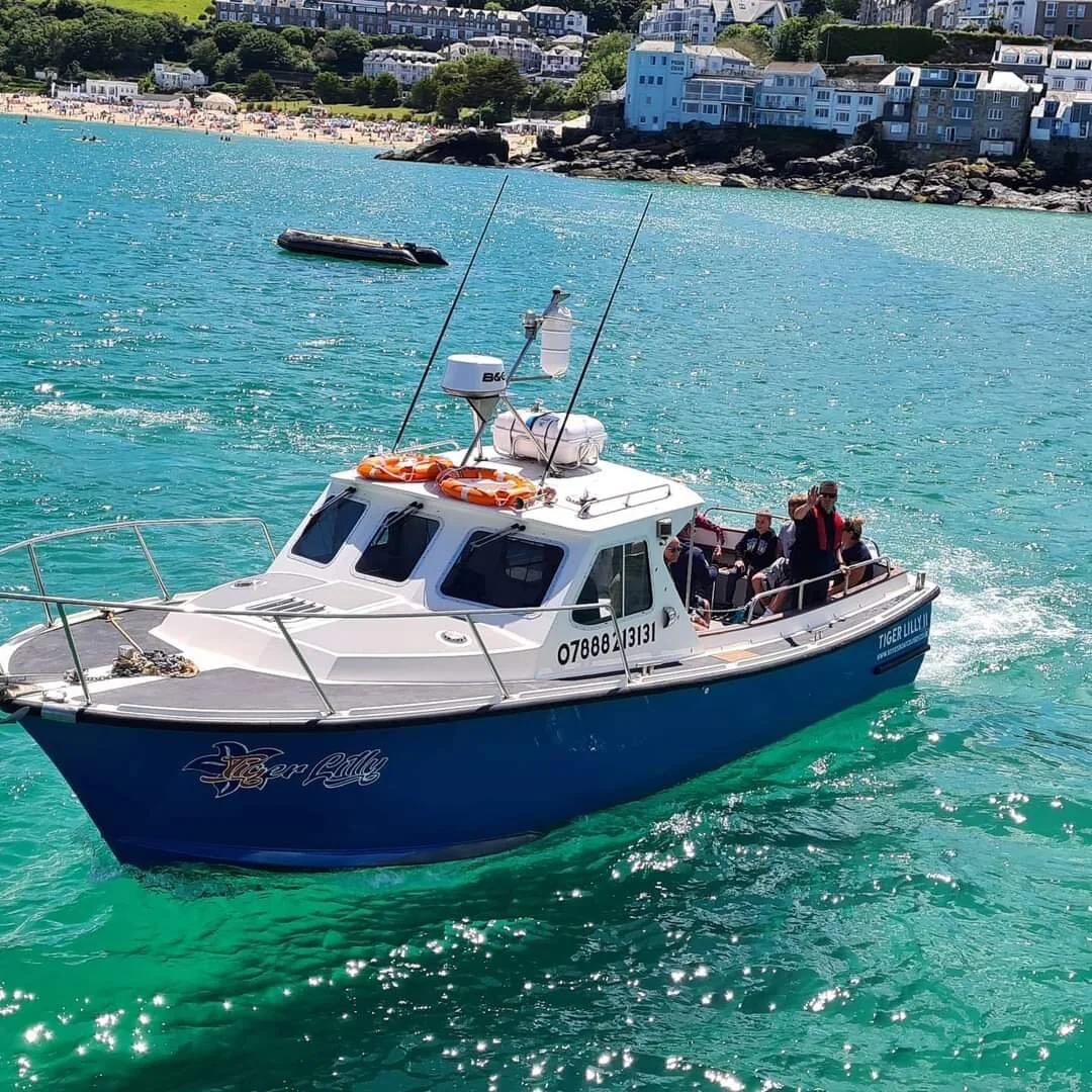 Tiger Lilly II Boat Trips St Ives — Tiger Lilly, St Ives