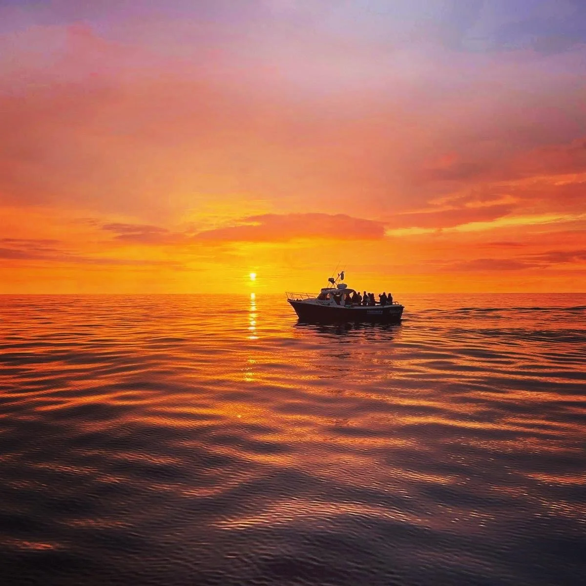 Boat Trips St Ives, Cornwall Tiger Lilly St Ives