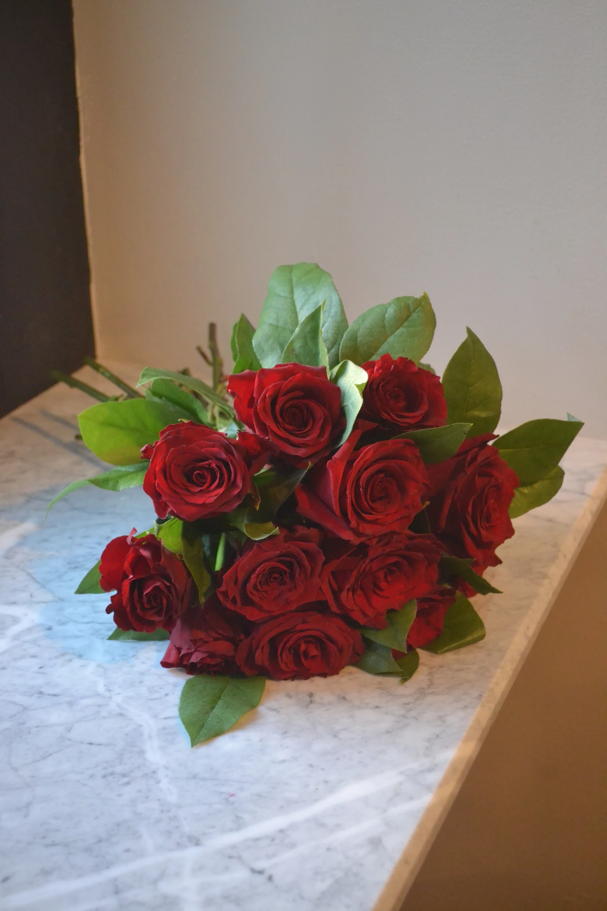 2015-03-08 05.23.07.jpg