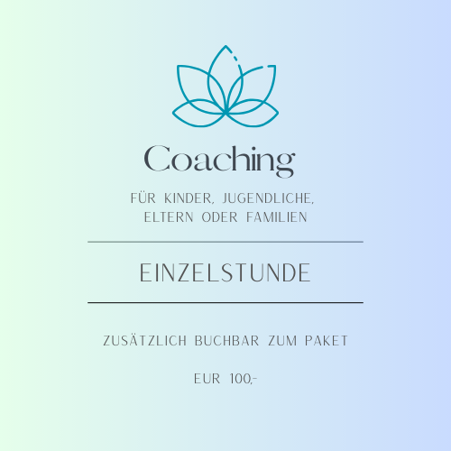 Coaching Einzelstunde