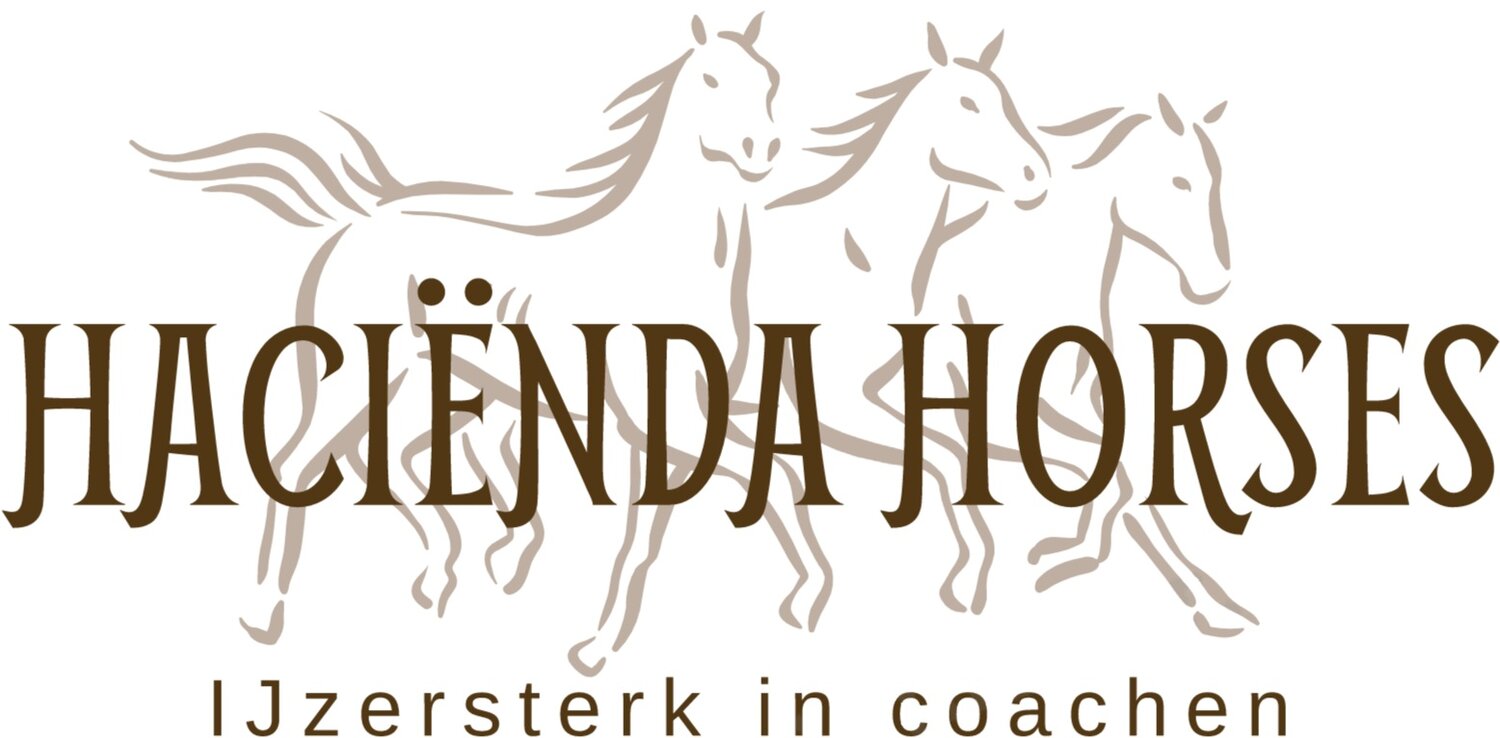 Haciënda Horses - Paard- &amp; Lifecoaching